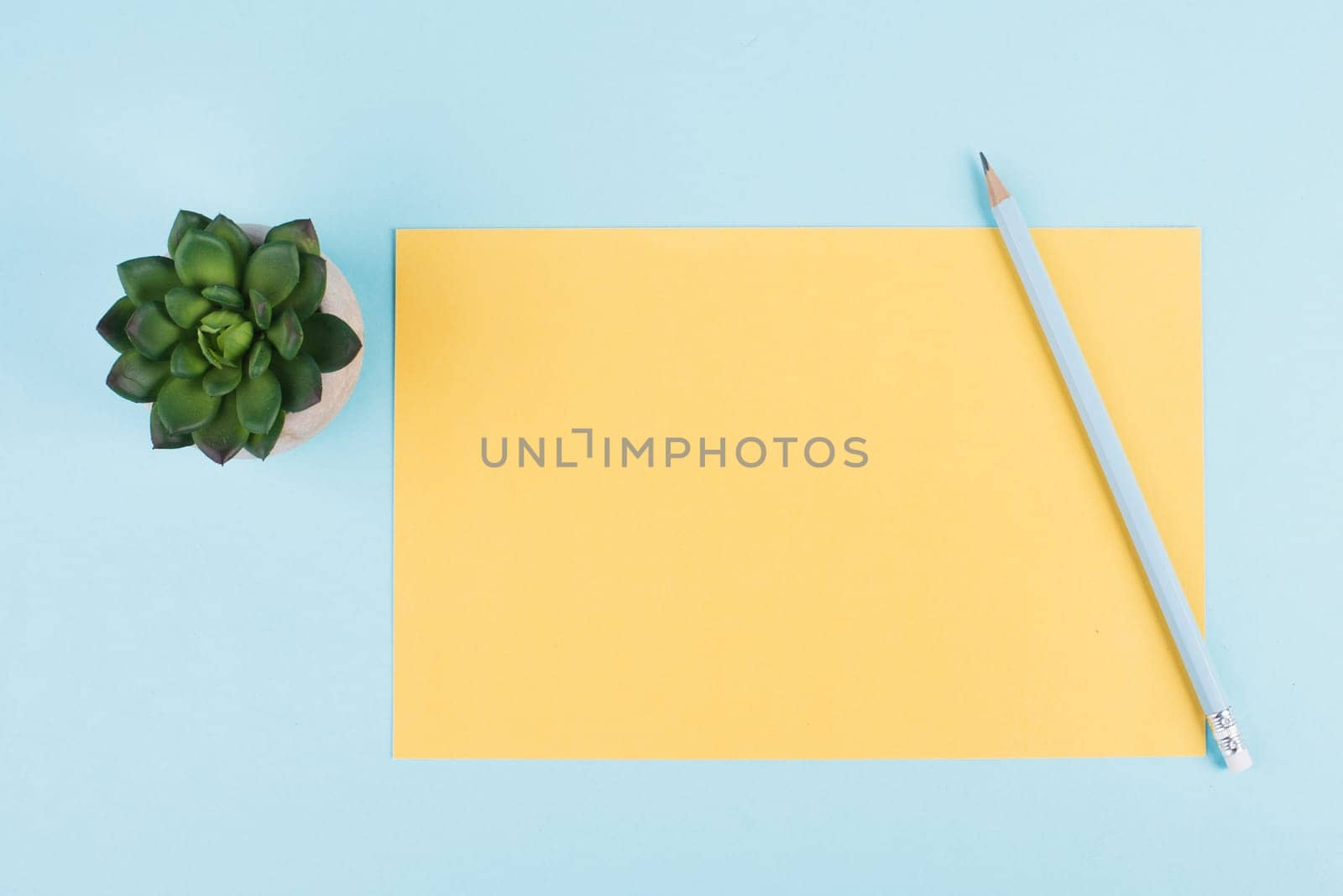 Empty paper with a pen and a cactus textured background, brainstorming for new ideas, writing a message, taking a break, home office desk