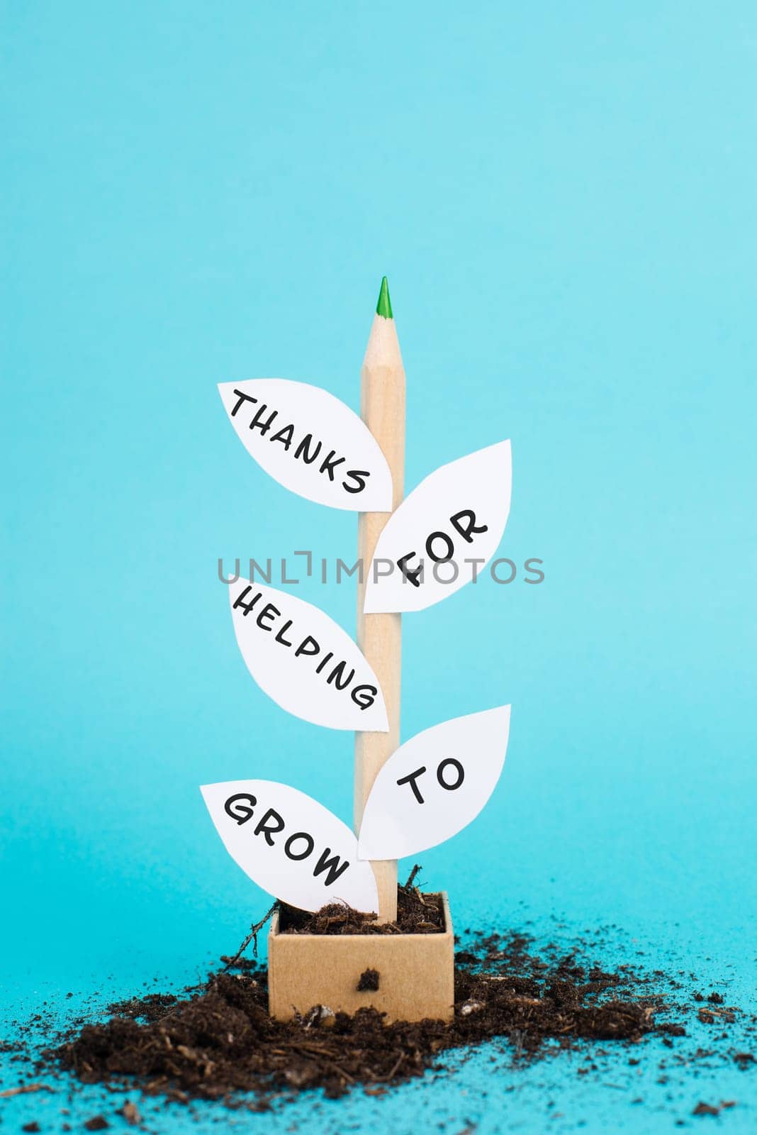 Plant made from a pencil and paper, the phrase thanks for helping to grow is standing on the leaves, thank you card, education and business concept