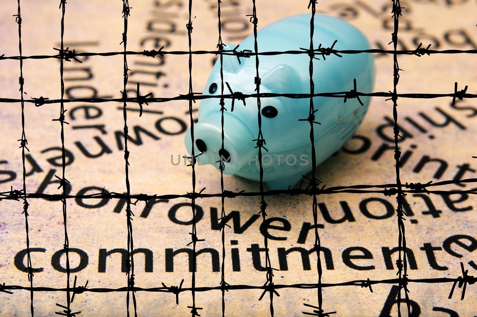 Borrower commitment concept