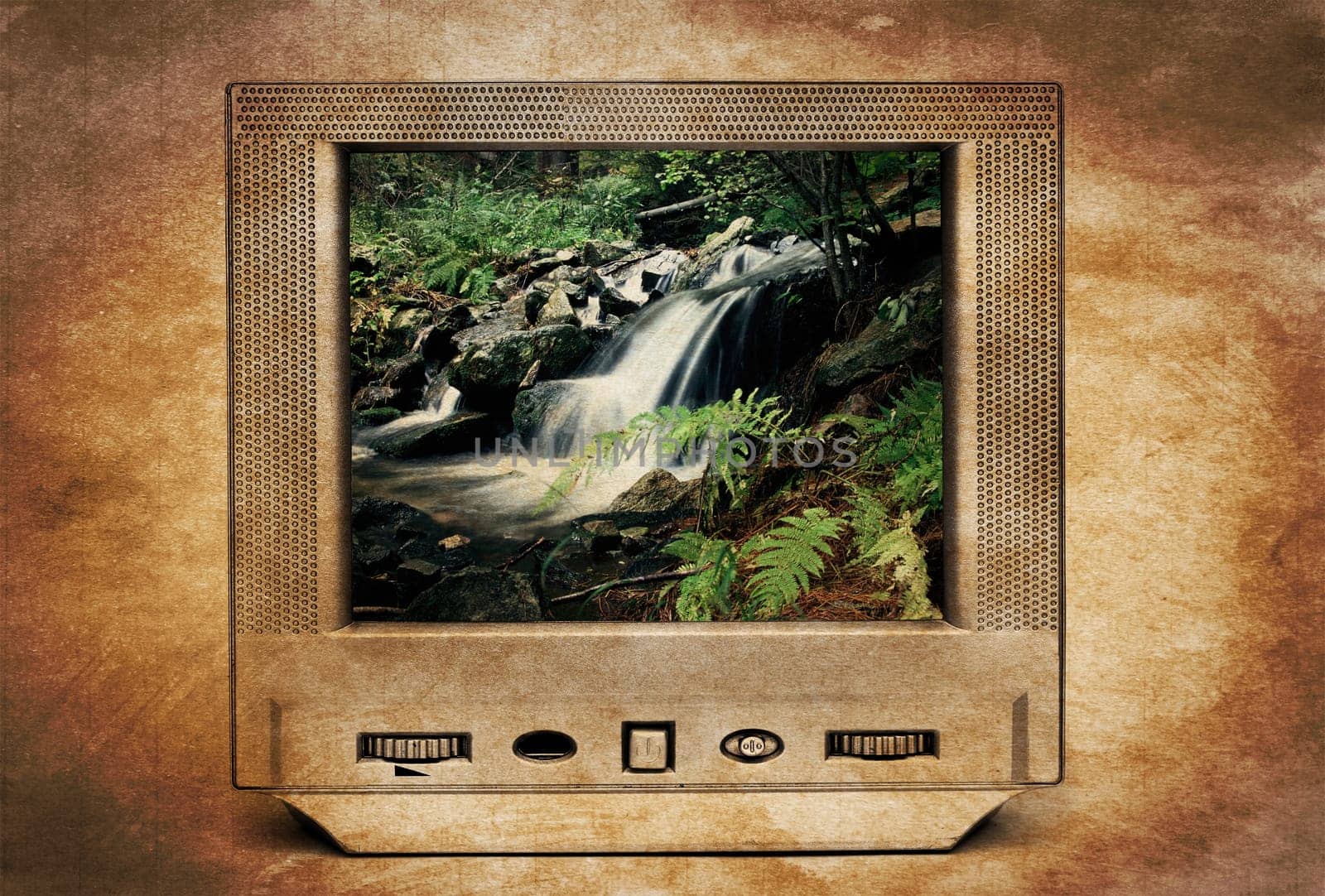 Deep forest river on tv
