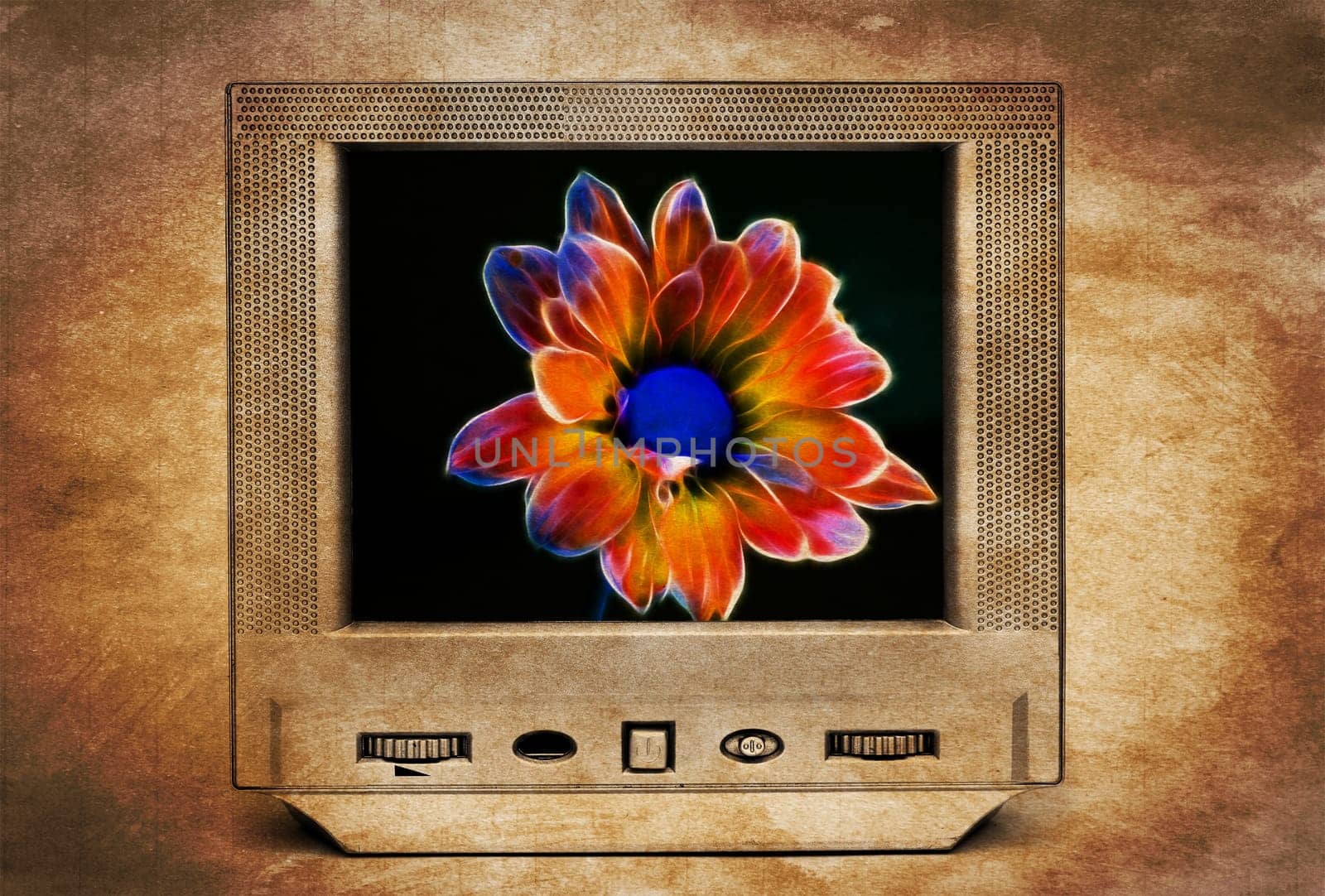 Fractal flower on TV