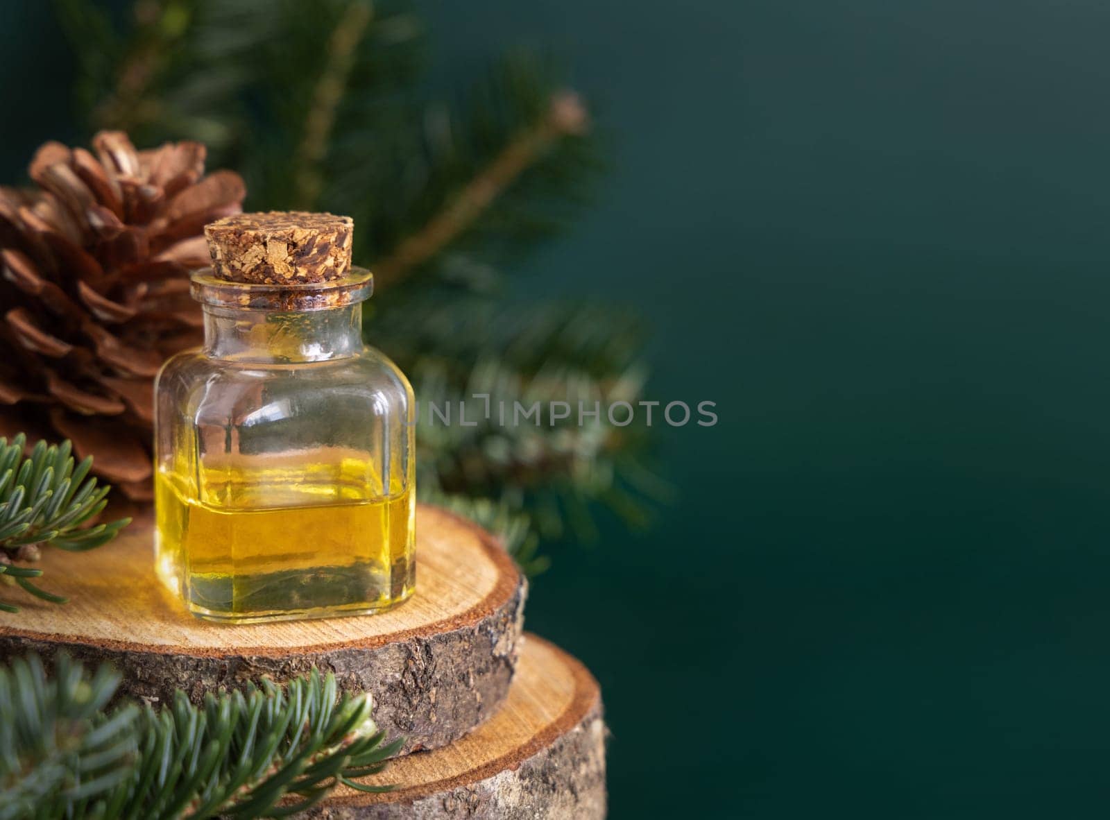 Glass bottle with conifer essential oil near fir branches and pine cones on wooden piece on green close up. Aromatherapy, spa and herbal medicine concept. Natural remedy or cosmetics.