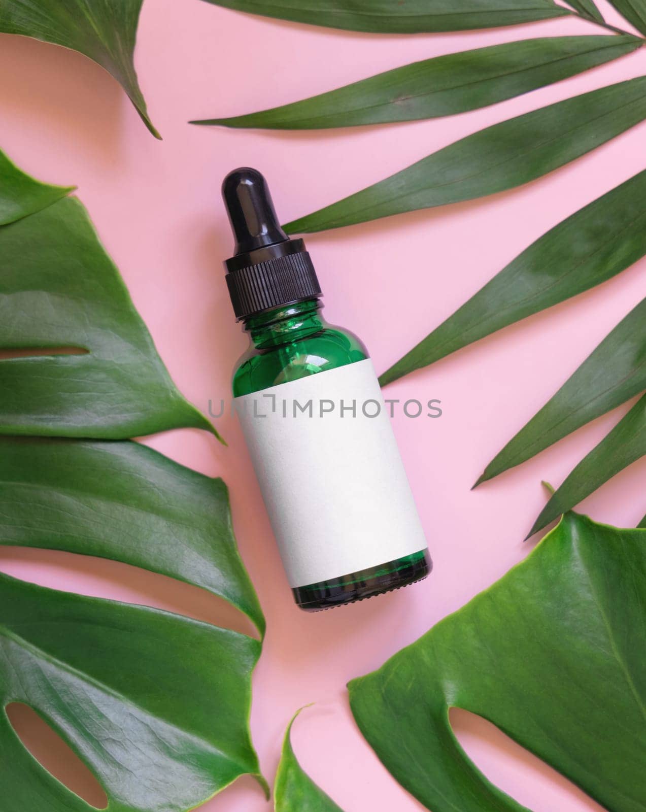 Green Dropper Bottle between tropical leaves on pink top view. Brand packaging mockup. Natural herbal cosmetics concept - Aromatic oil, skincare beauty product, cream or serum..