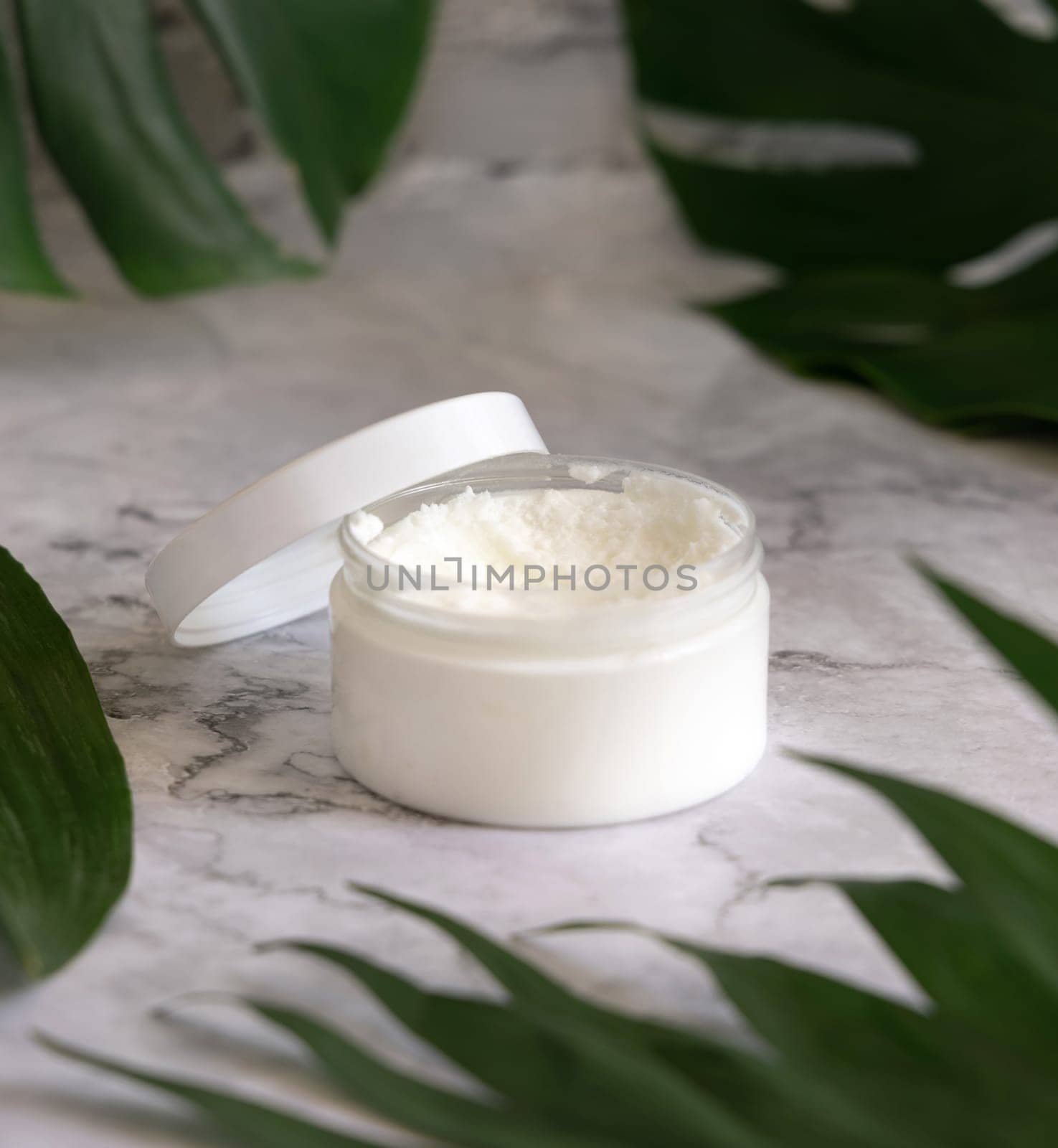Opened White jar and monstera leaves on marble table close up. Brand packaging mockup. Skincare beauty product, cream or butter. Making homemade herbal cosmetics from natural ingredients..