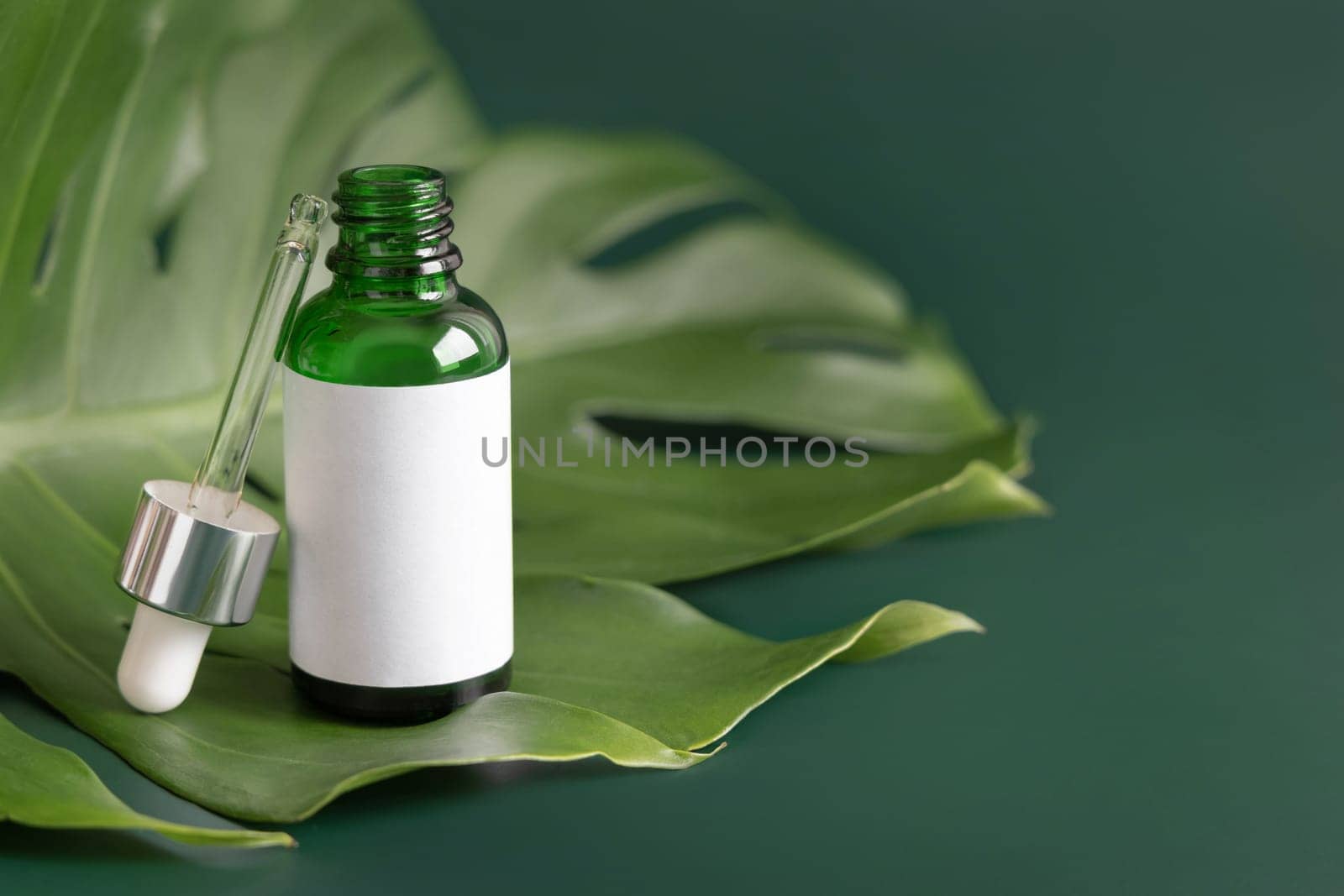 Opened Dropper Bottle on tropical monstera leaf on green table close up. Brand packaging mockup. Aromatic oil, skincare beauty product, cream or serum. Natural herbal cosmetics concept..