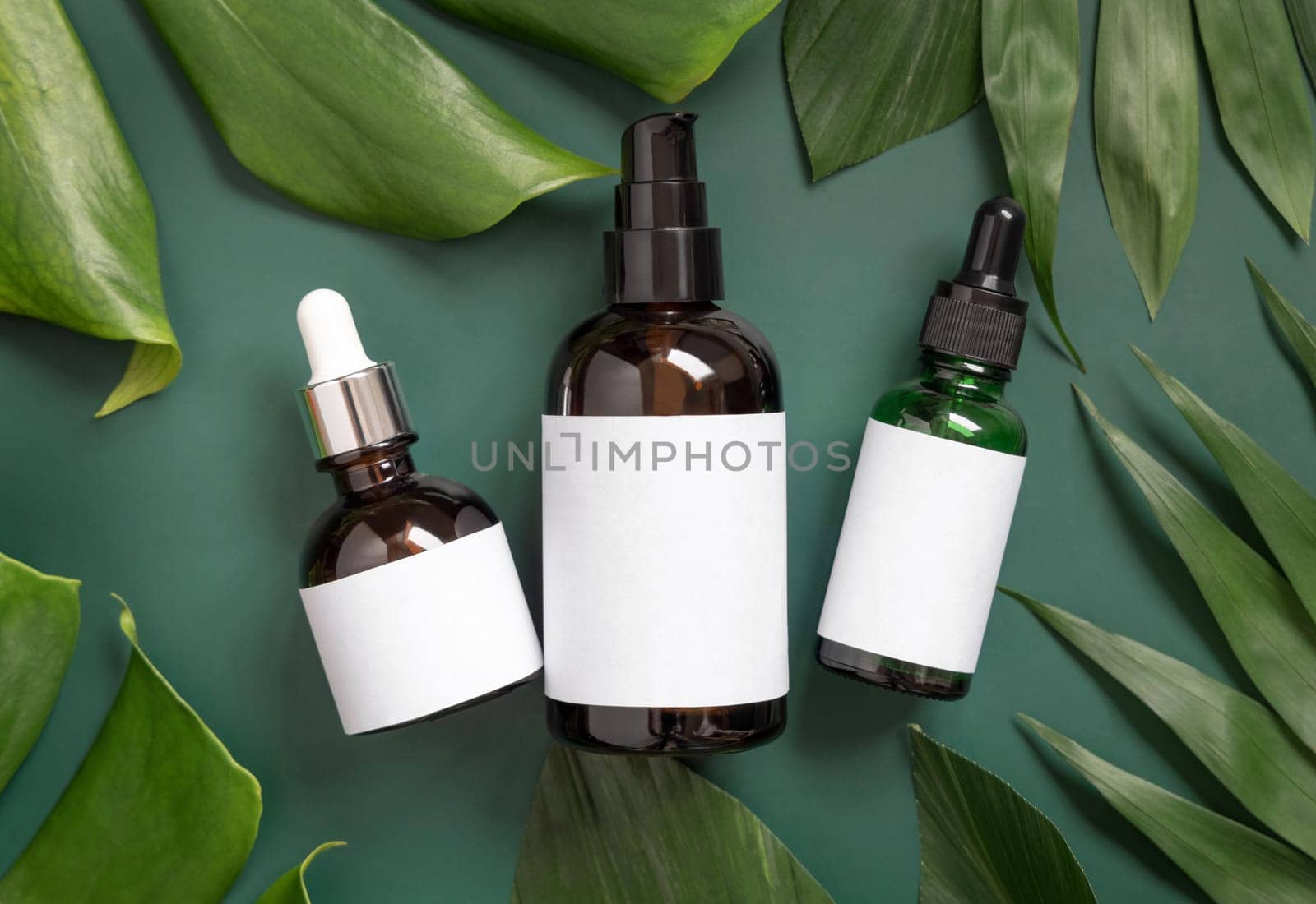 Dropper and one pump Glass Bottles between monstera leaves on green table top view. Brand packaging mockup. Natural cosmetics- Aromatic oil, skincare beauty product, cream or serum..