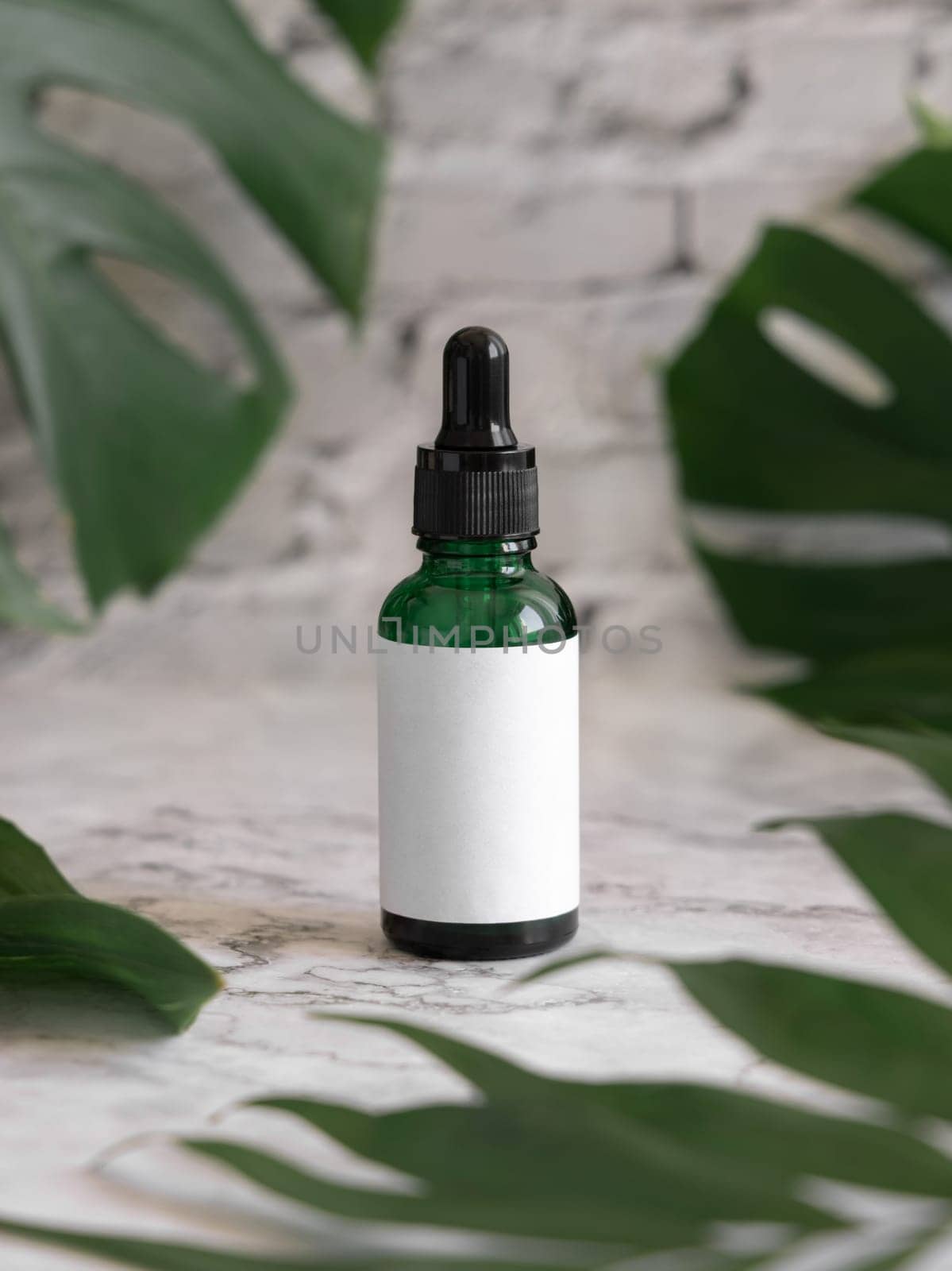 Dropper Bottle on tropical monstera leaf on white marble table close up. Brand packaging mockup. Aromatic oil, skincare beauty product, cream or serum. Natural herbal cosmetics concept..