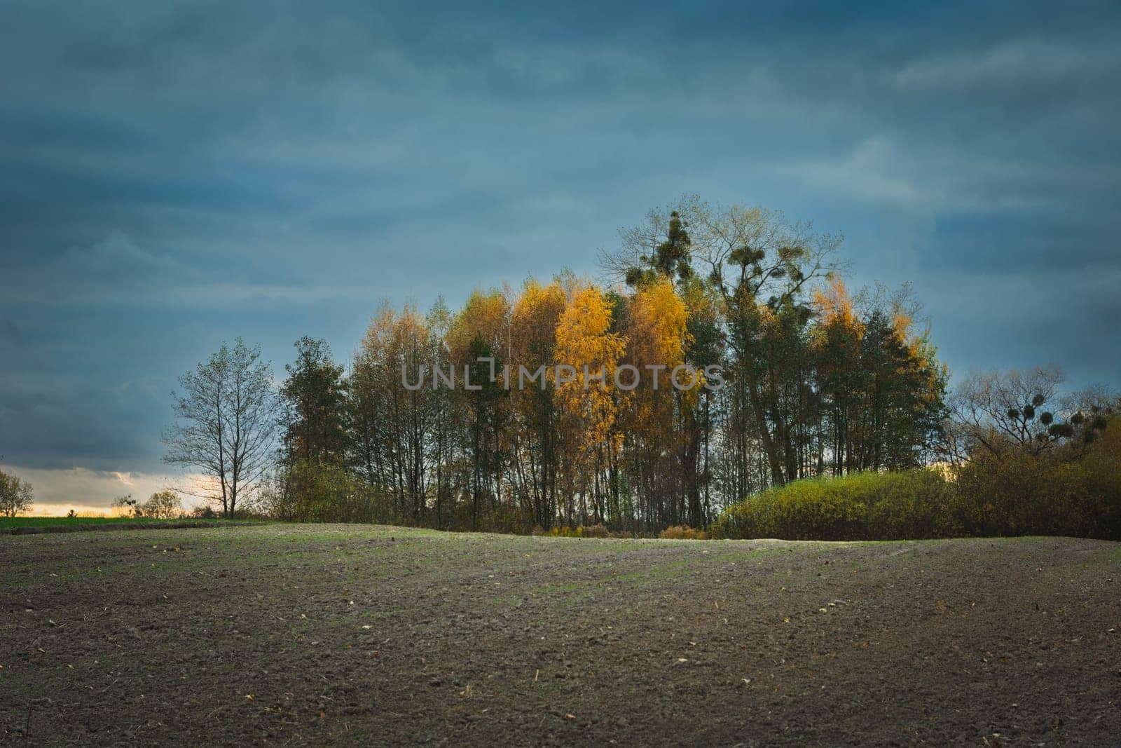 Plowed field and autumn trees on a cloudy day, October view