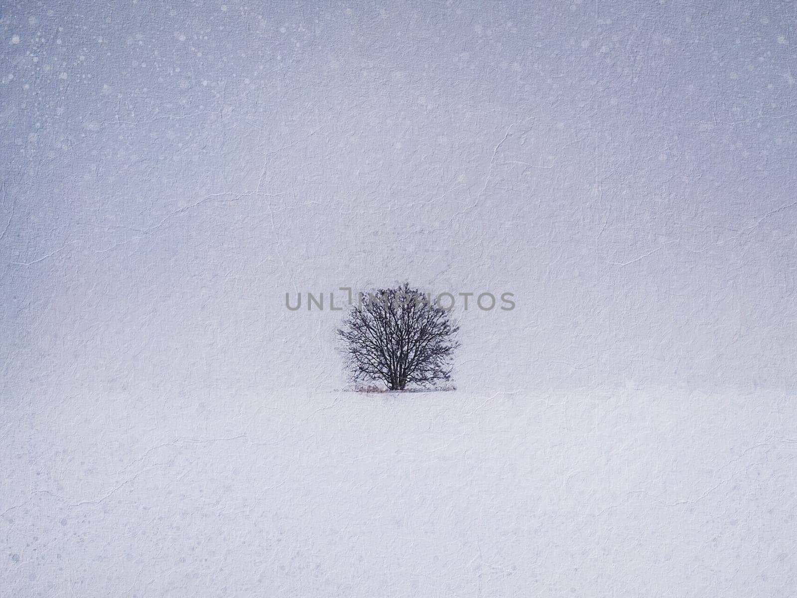 Painting of a lone tree in the snowy field. Cold winter scene and a leafless oak stands single under snowdrift. Numb nature landscape, silence and solitude mood