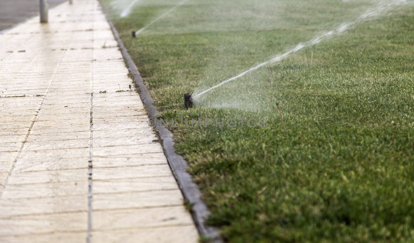 Detail of irrigation and care of the grass, sprinkler irrigation