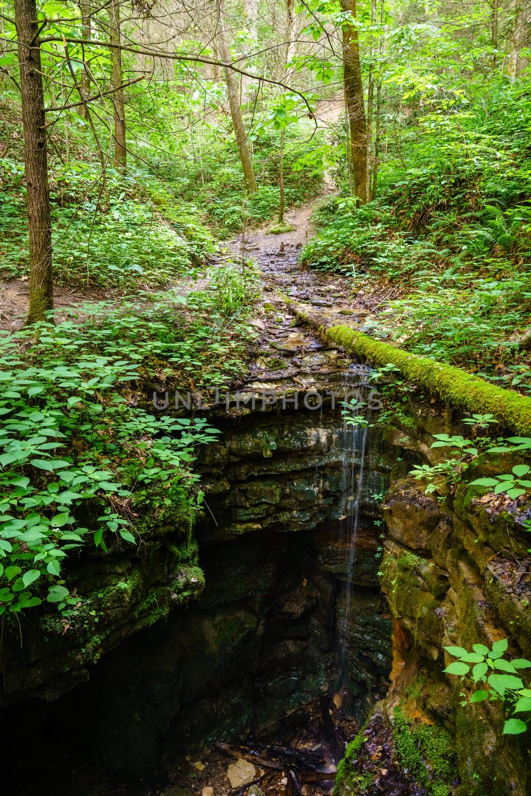 Sinkhole on Henson's Arch trail in Red River Gorge, Kentucky
