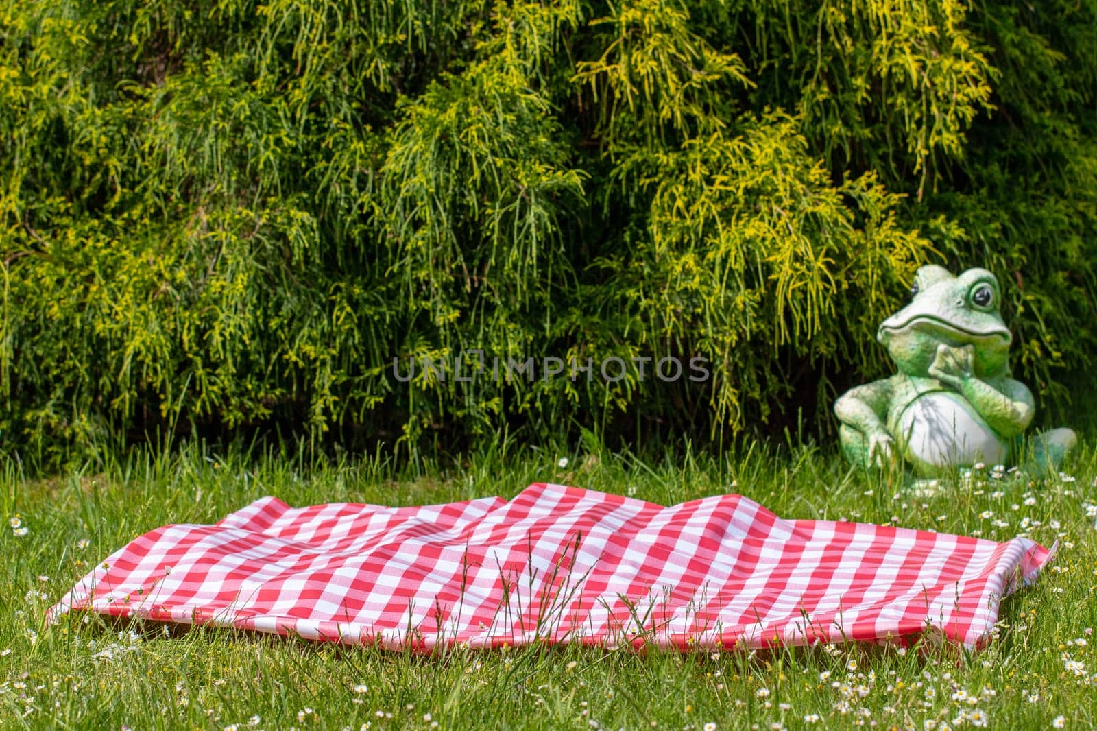 Red picnic cloth. Red checked picnic blanket on a meadow with daisies in bloom. Beautiful backdrop for your product placement or montage. Frog in background.