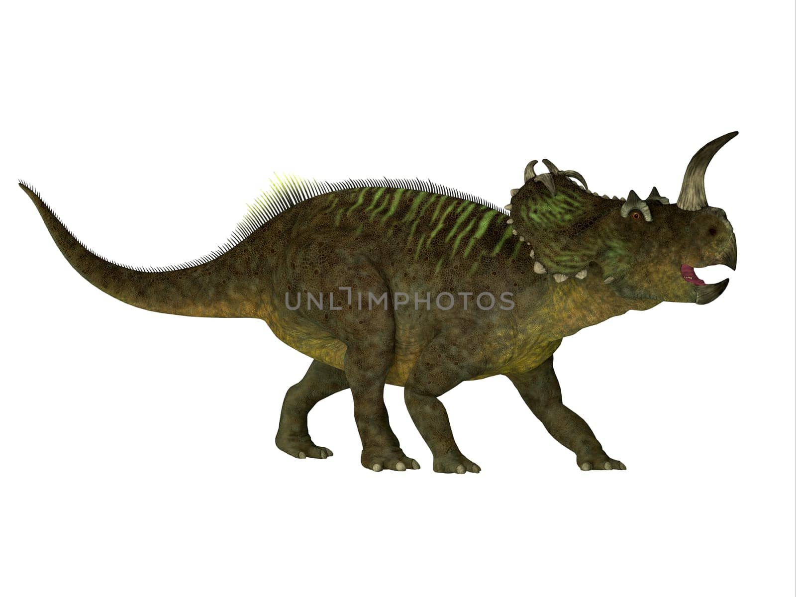 Centrosaurus was a herbivorous beaked dinosaur that lived in Canada during the Cretaceous Period.