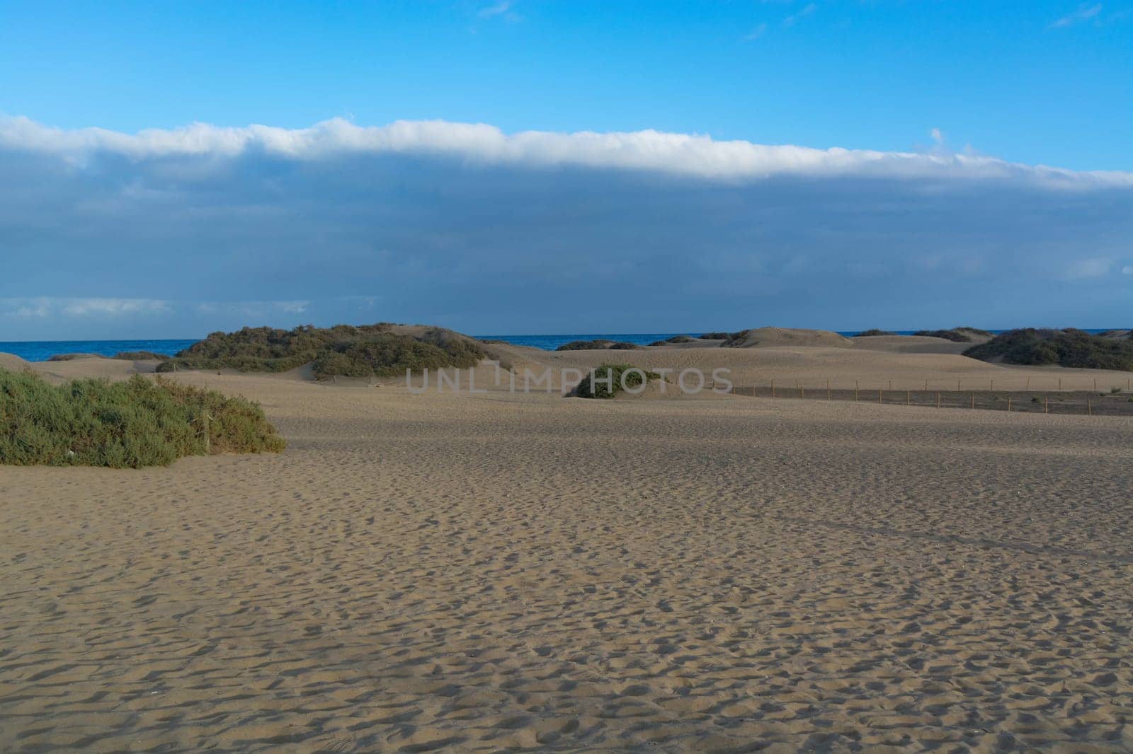 National park of Maspalomas sand dunes. Gran Canaria, Canary islands, Spain