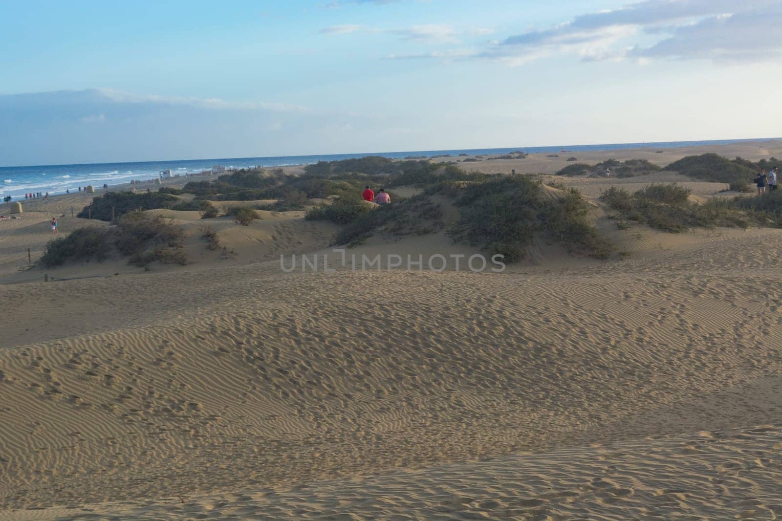 National park of Maspalomas sand dunes. Gran Canaria, Canary islands, Spain.