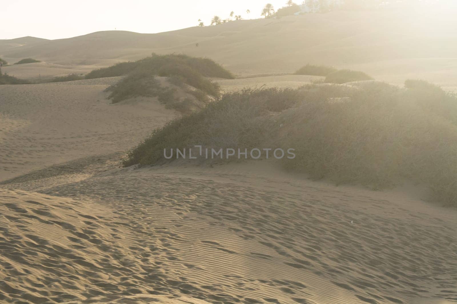 Interlocking patterns in sand - sand dunes, Maspalomas, Cran Canaria