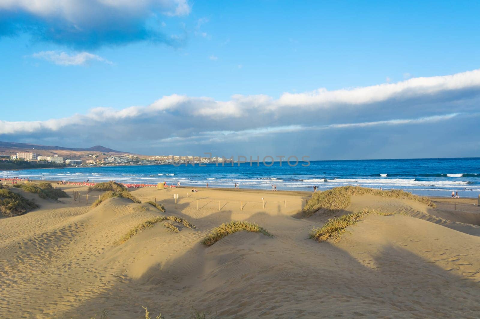 Coast dunes beach sea, panorama