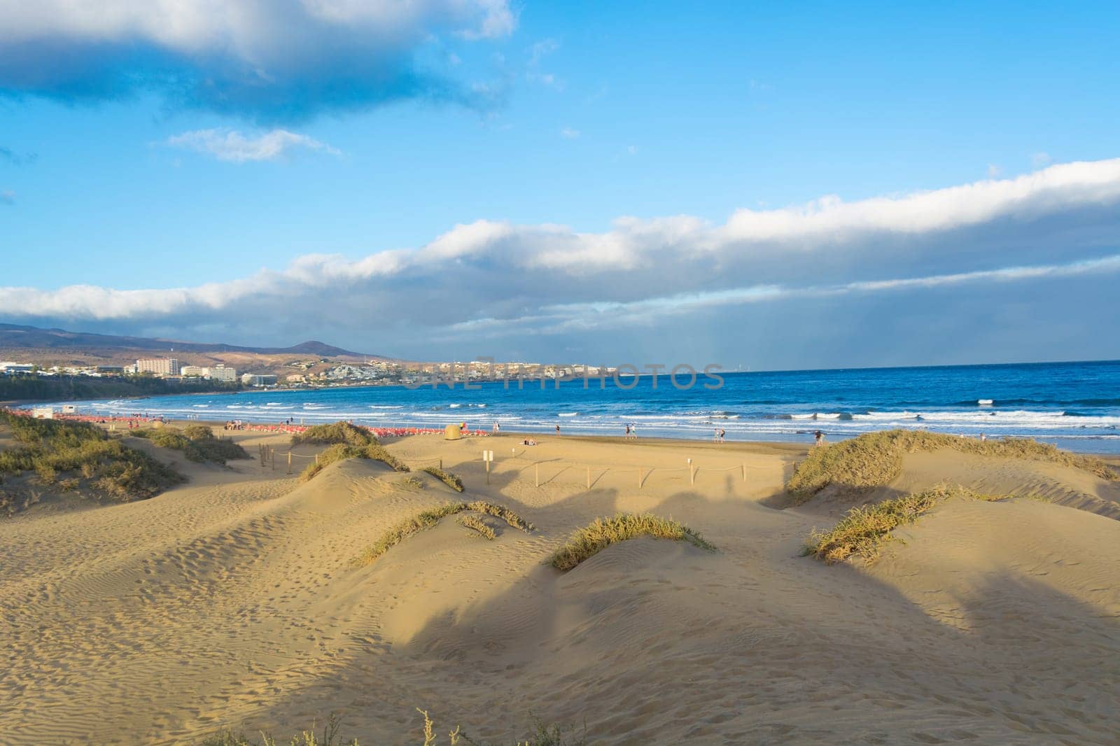 Coast dunes beach sea, panorama