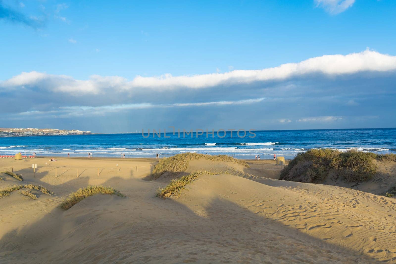 Coast dunes beach sea, panorama