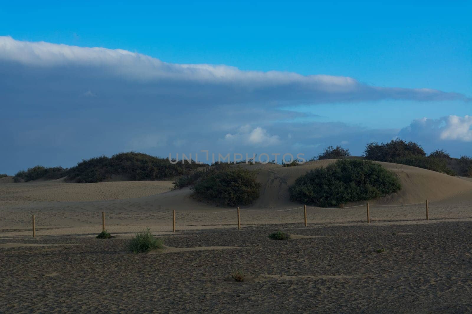 National park of Maspalomas sand dunes. Gran Canaria, Canary islands, Spain