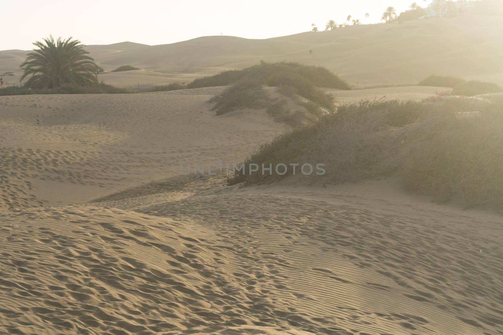 Interlocking patterns in sand - sand dunes, Maspalomas, Cran Canaria