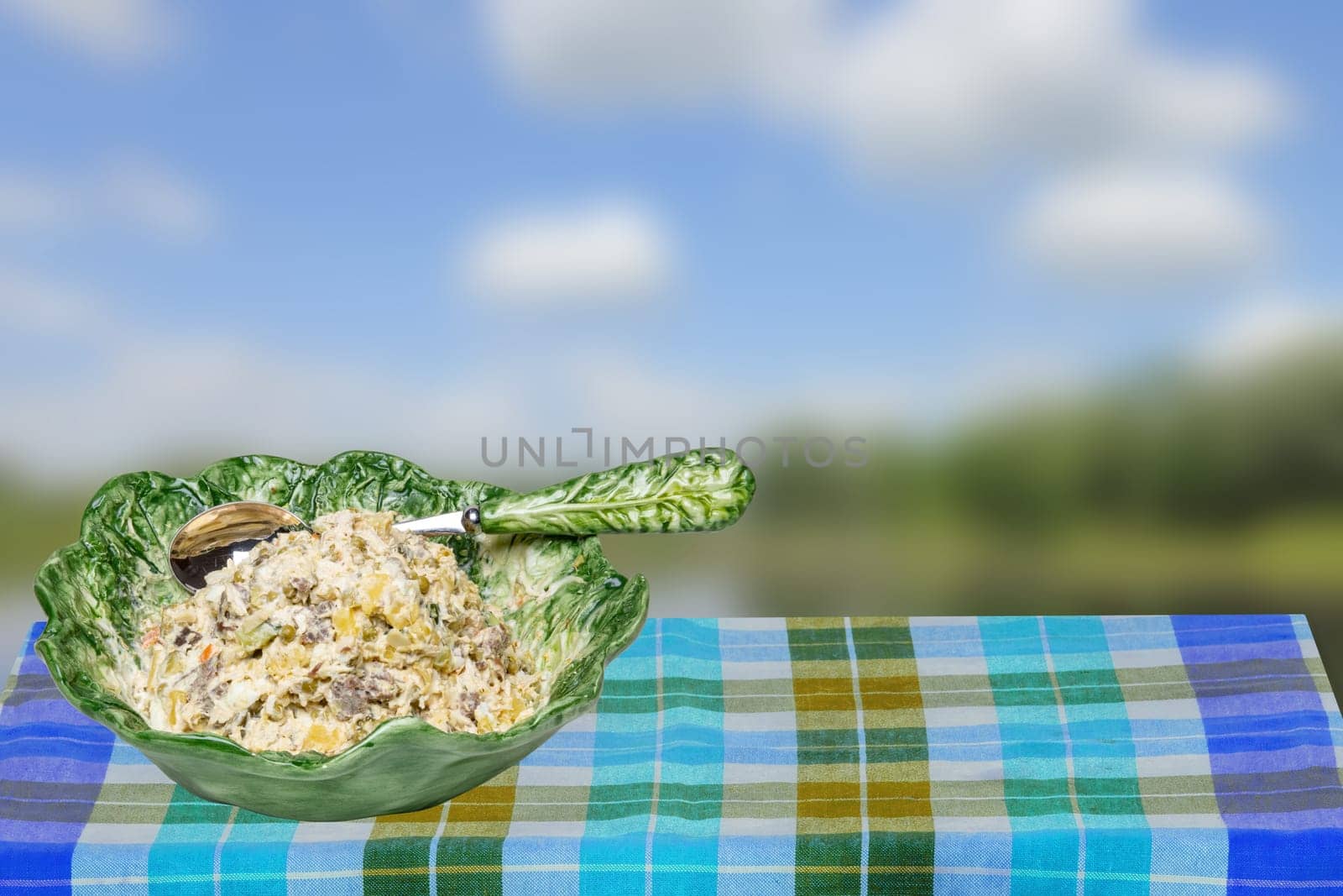 A decorative bowl with salad and matching spoon on a checkered table cloth over blurred natural background. Space for food and product display montage. Healthy food.
