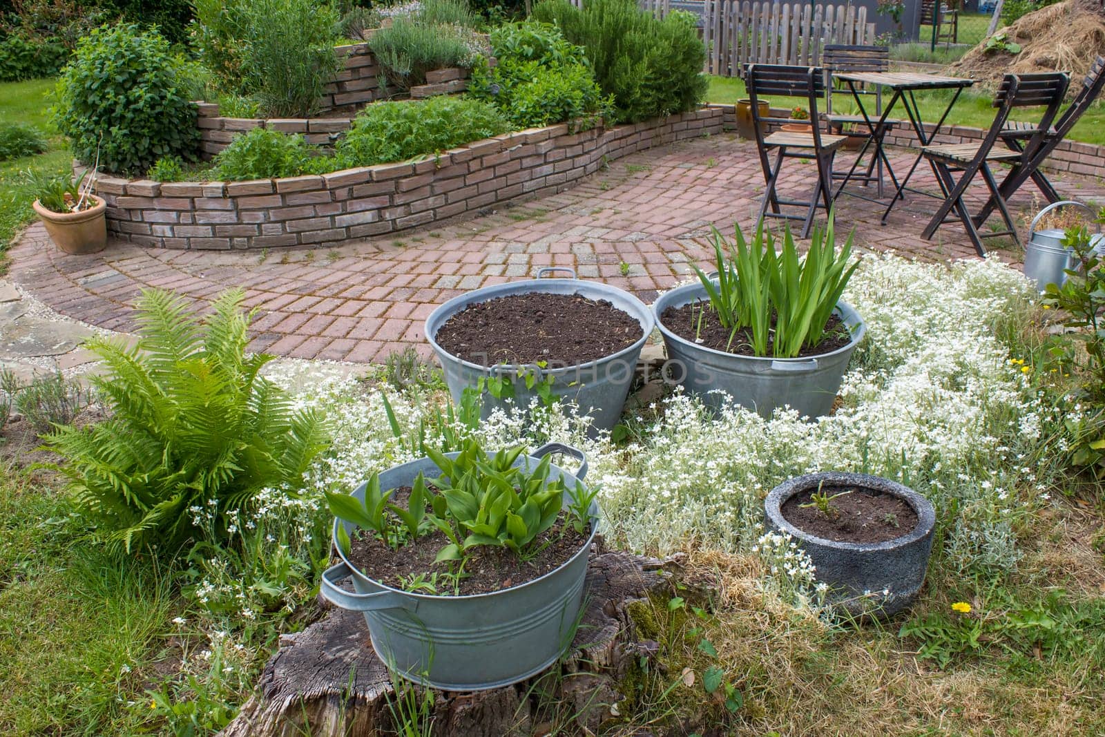 rustic garden -  fern,  plants in tin tub, herb spiral, chairs and table