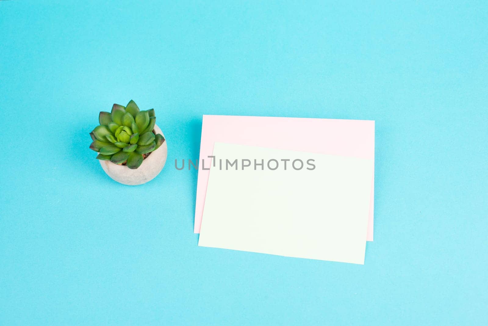 Empty paper with a pen and a cactus textured background, brainstorming for new ideas, writing a message, taking a break, home office desk