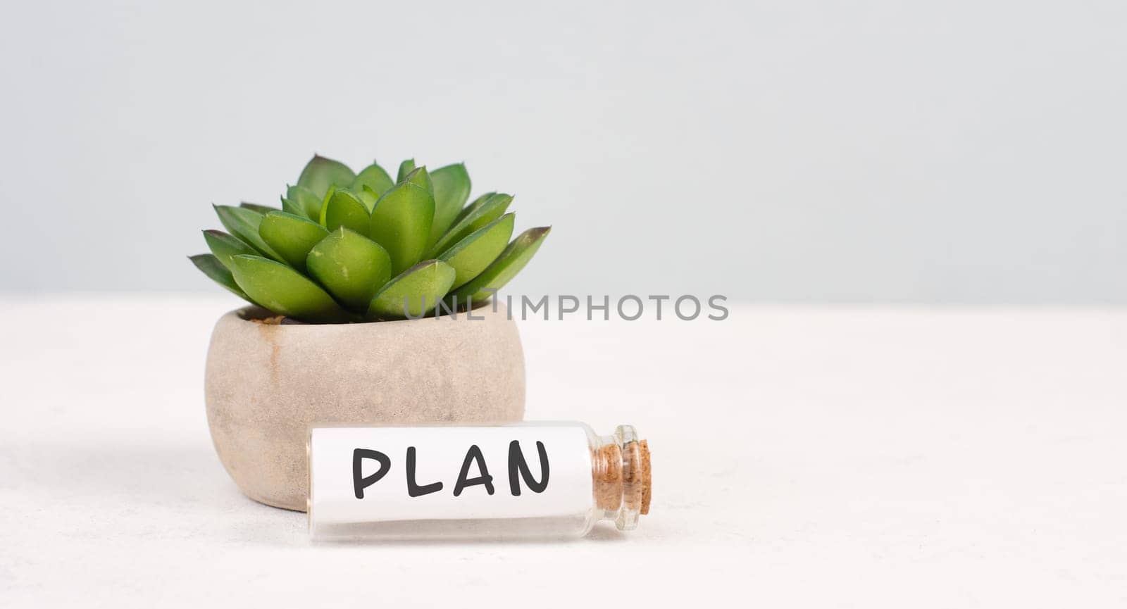Cactus with the word plan standing on a bottle, gray background, minimalistic desk, brainstorming for a start up, being creative, planning the future