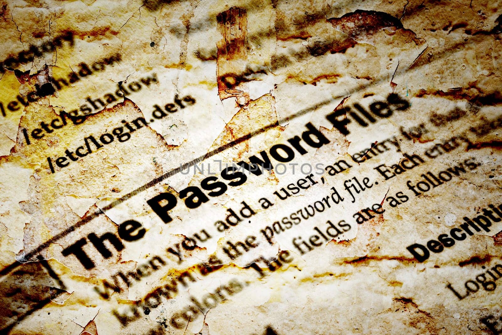 The password files