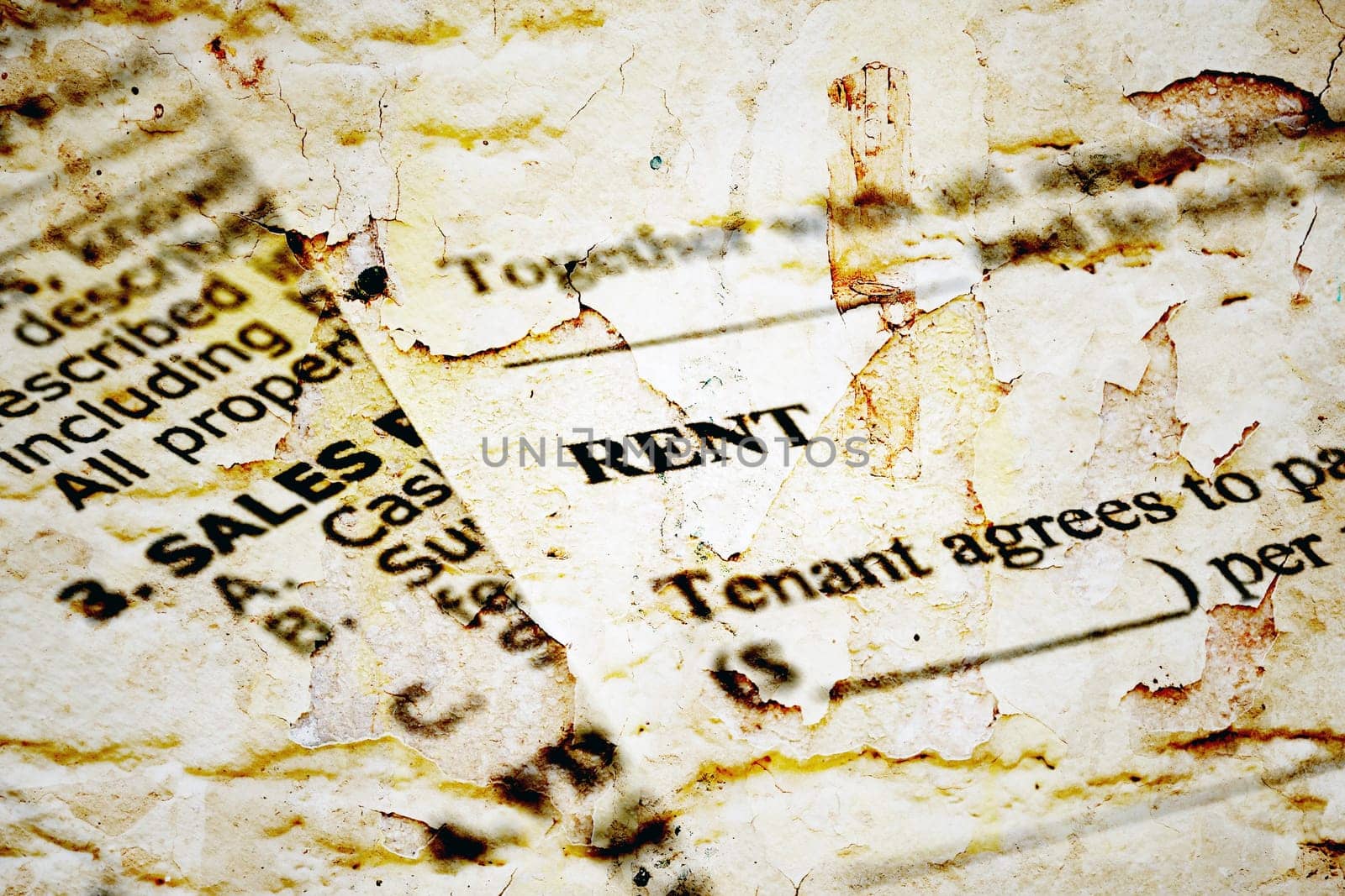 Rental  contract