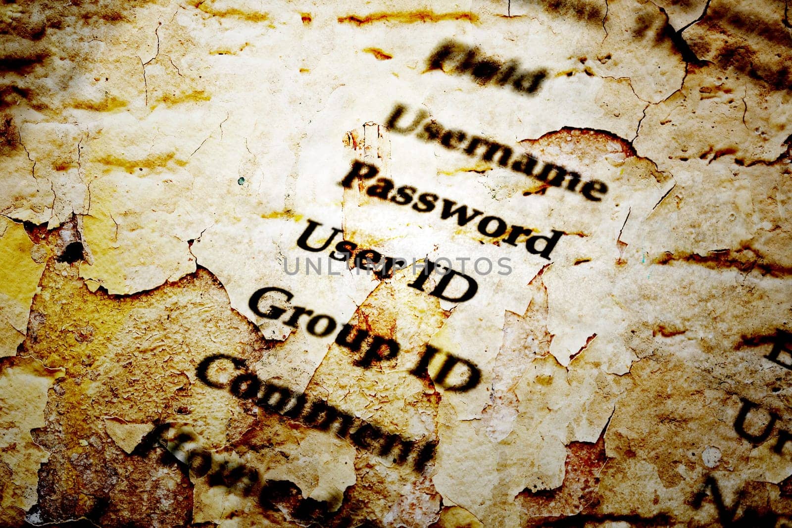 Username and password grunge style