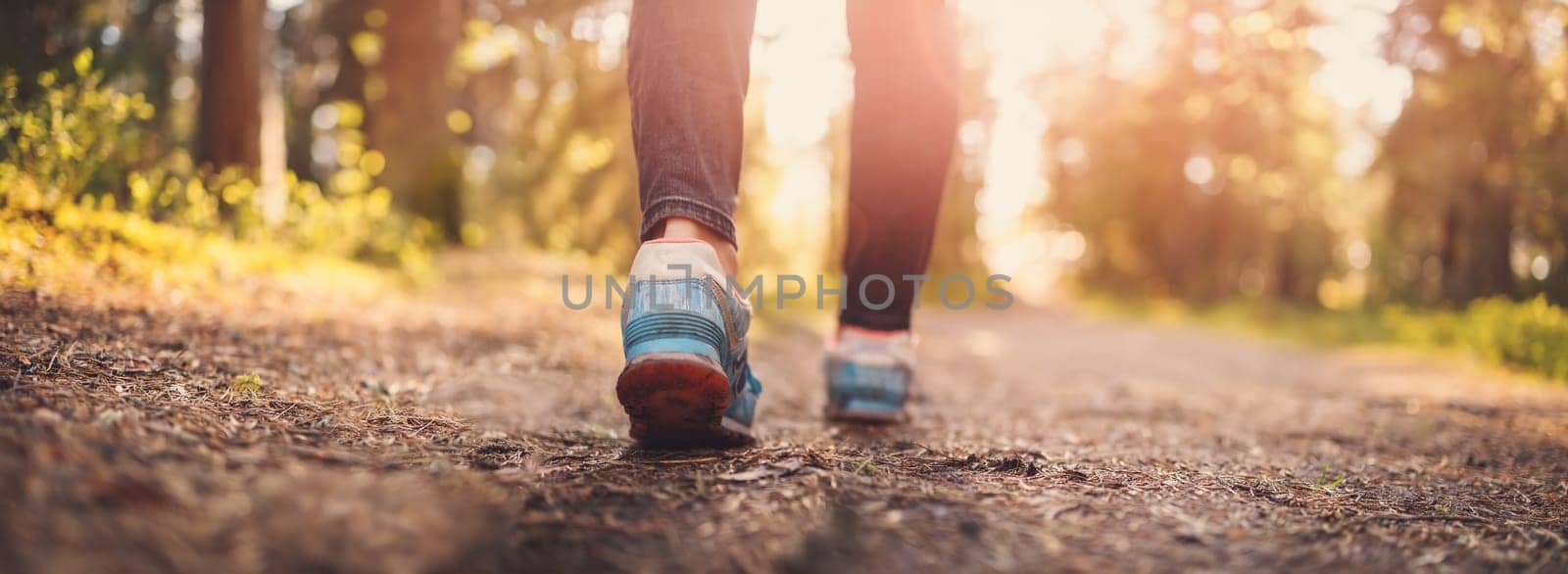 Woman's legs hiking in the forest in summer. Concept of tourism and vacation.
