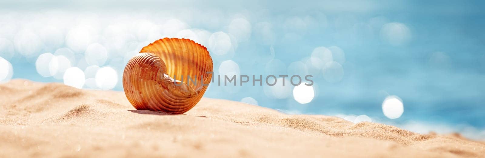 Shell on the sand of the sea beach in summer. Concept of vacation and tourism.