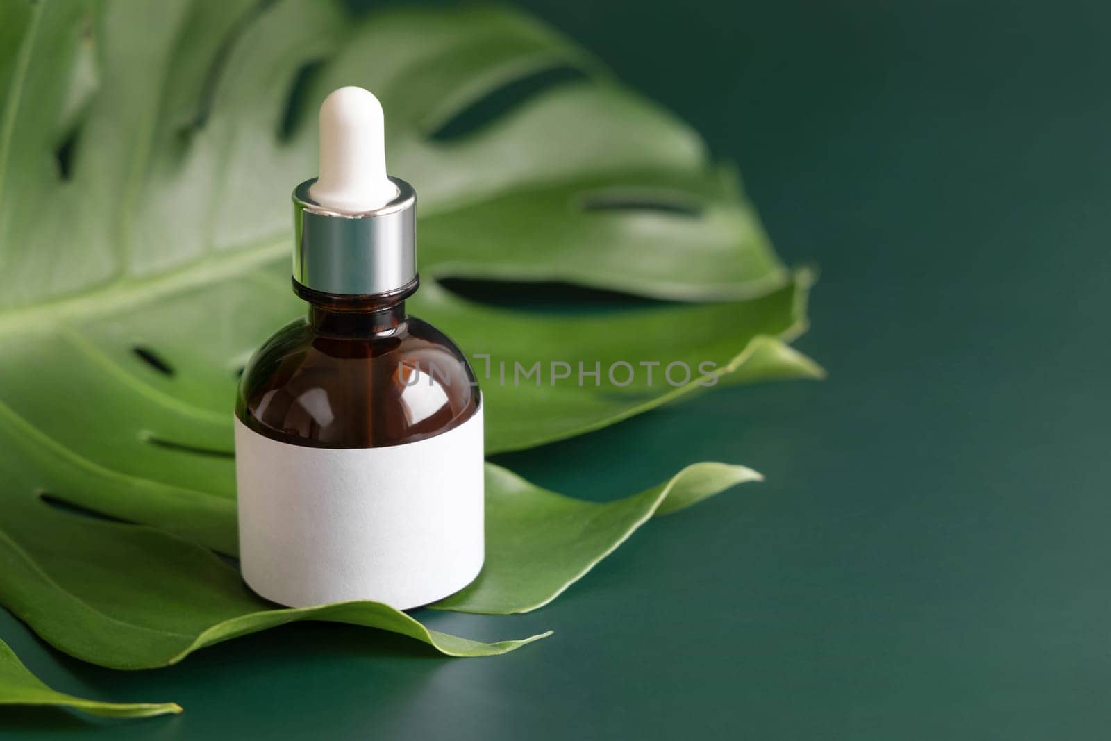 Dropper Bottle on tropical monstera leaf on green table close up. Brand packaging mockup. Aromatic oil, skincare beauty product, cream or serum. Natural herbal cosmetics concept..