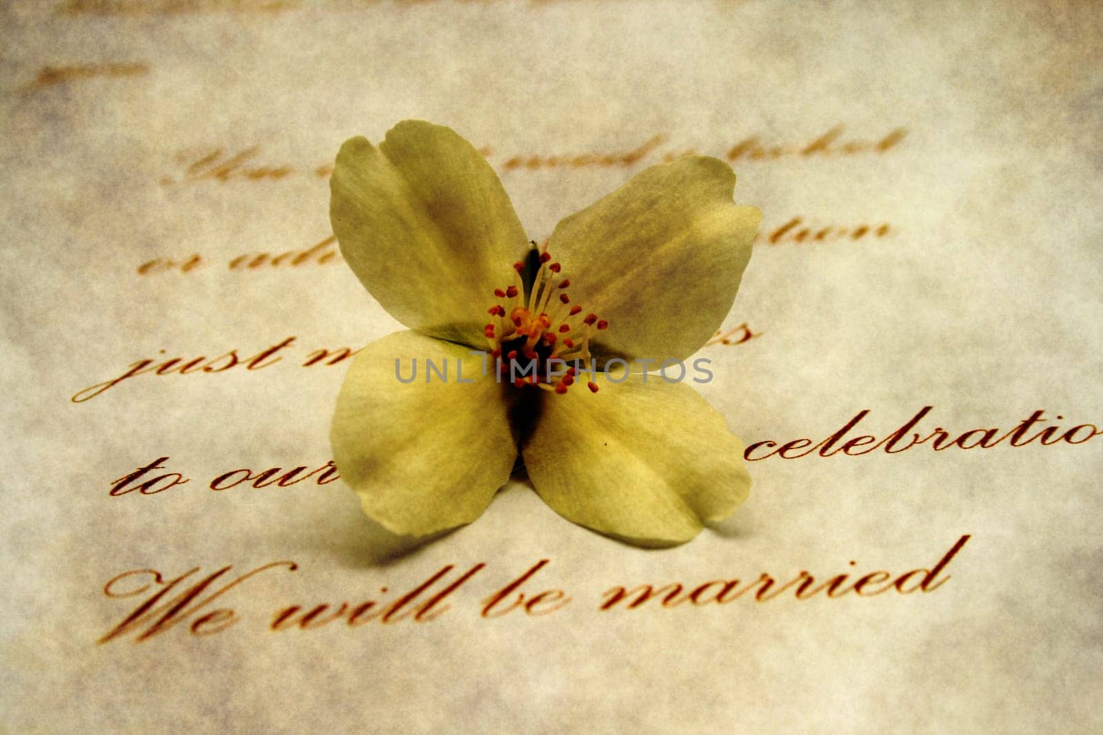 Wedding invitation