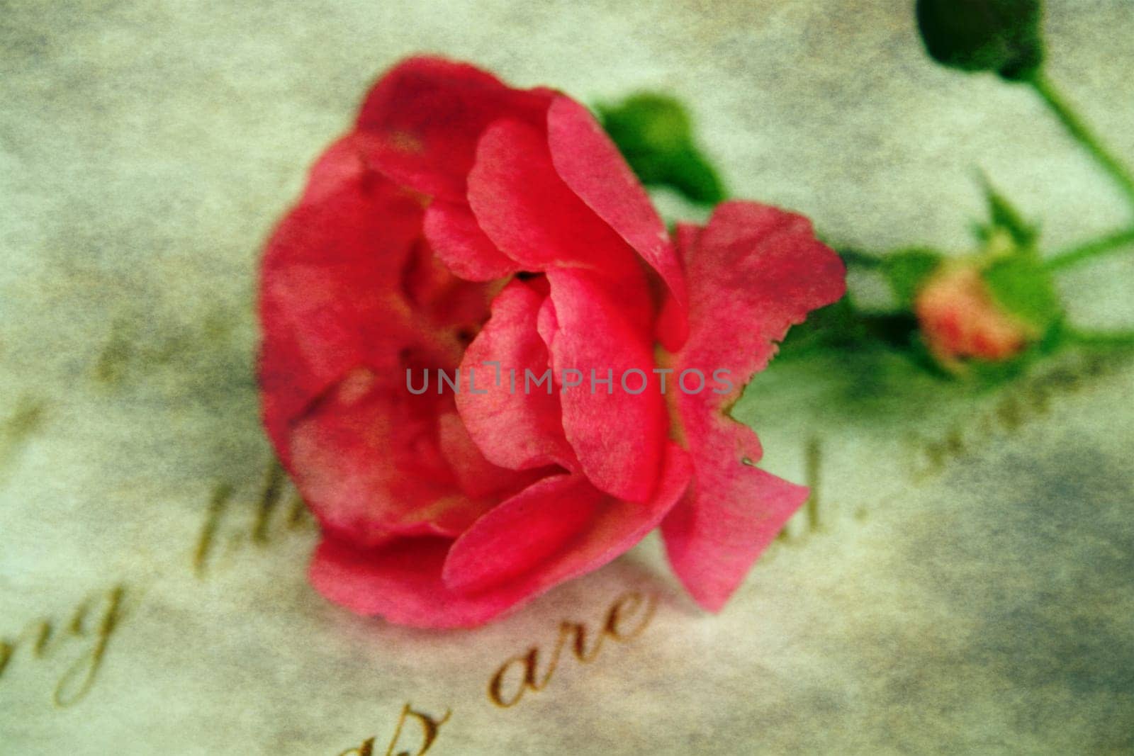 Love letter