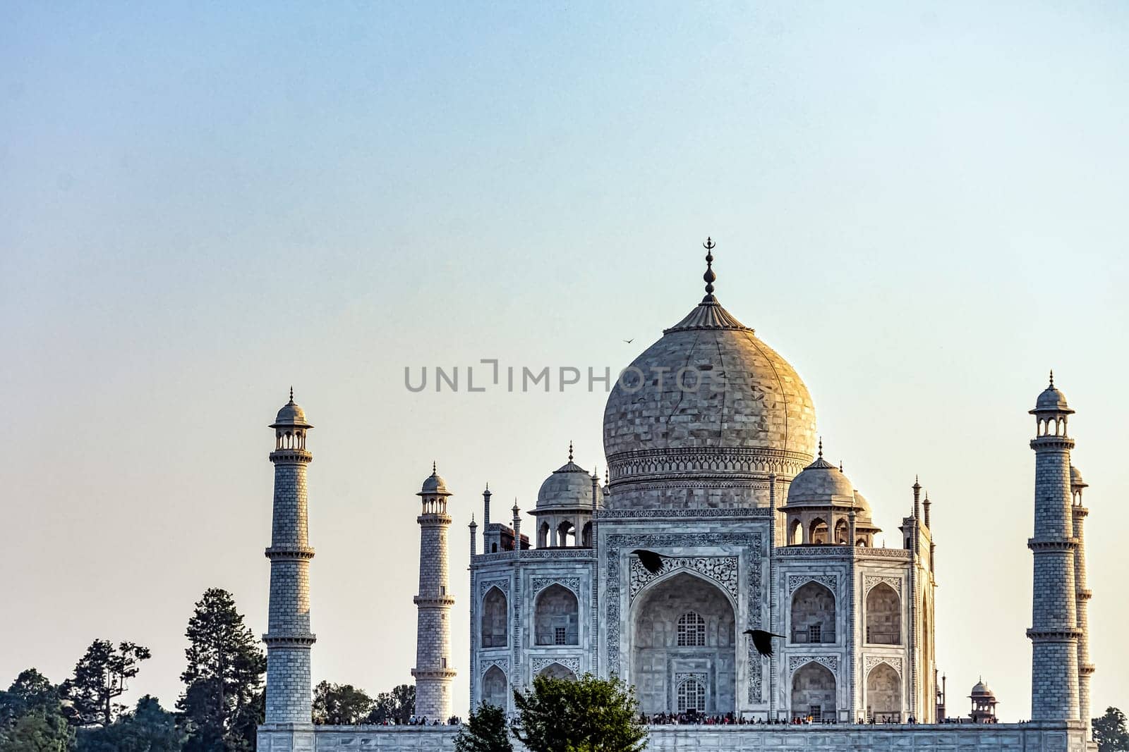 Taj Mahal with flying ravens in Agra, Uttar Pradesh, India