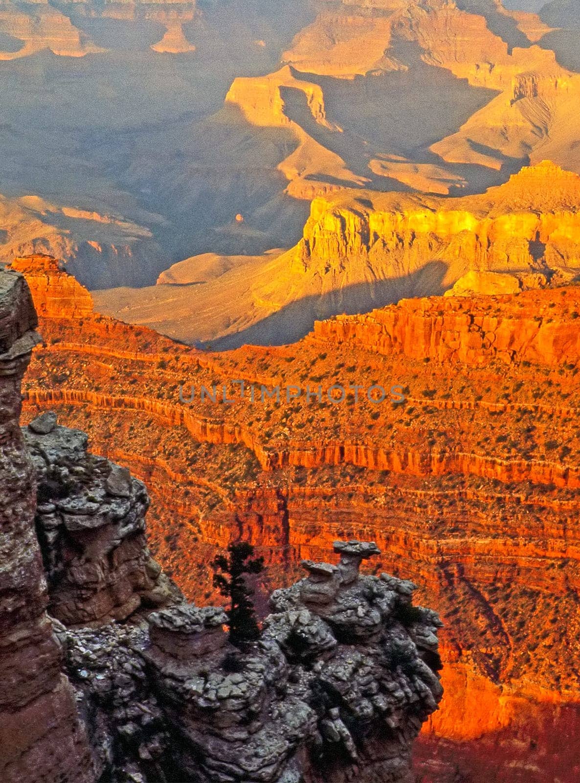Grand Canyon at sunset