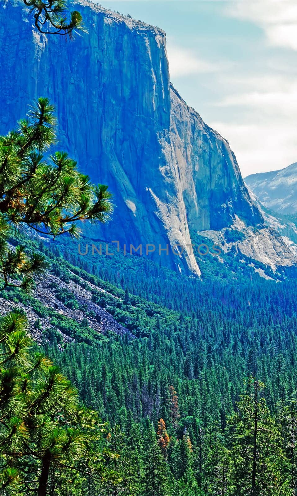 El Capitan in Yosemite National Park,California