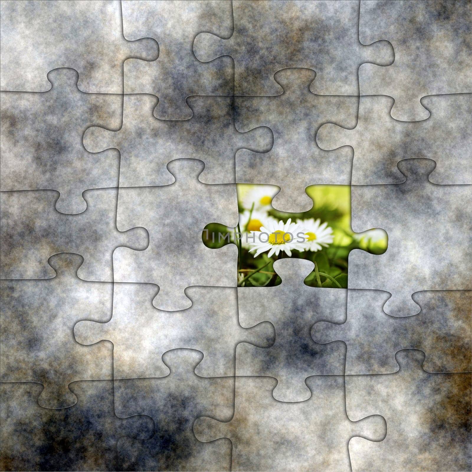 Puzzle and chamomile