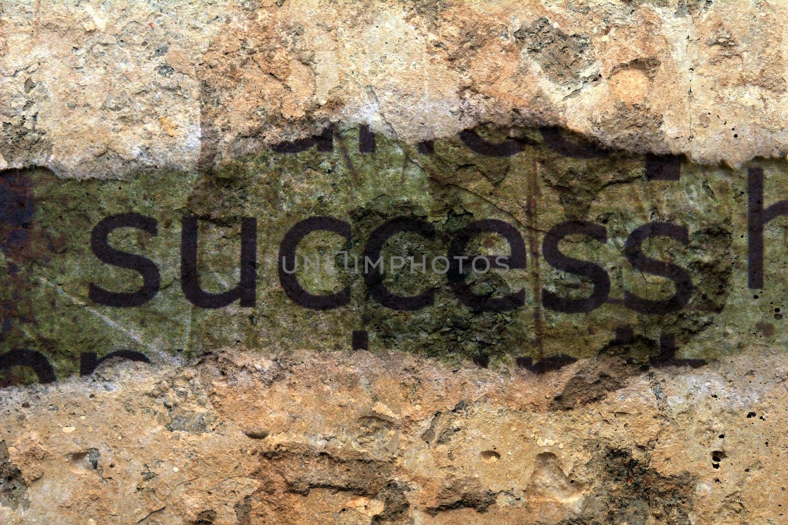 Success concept