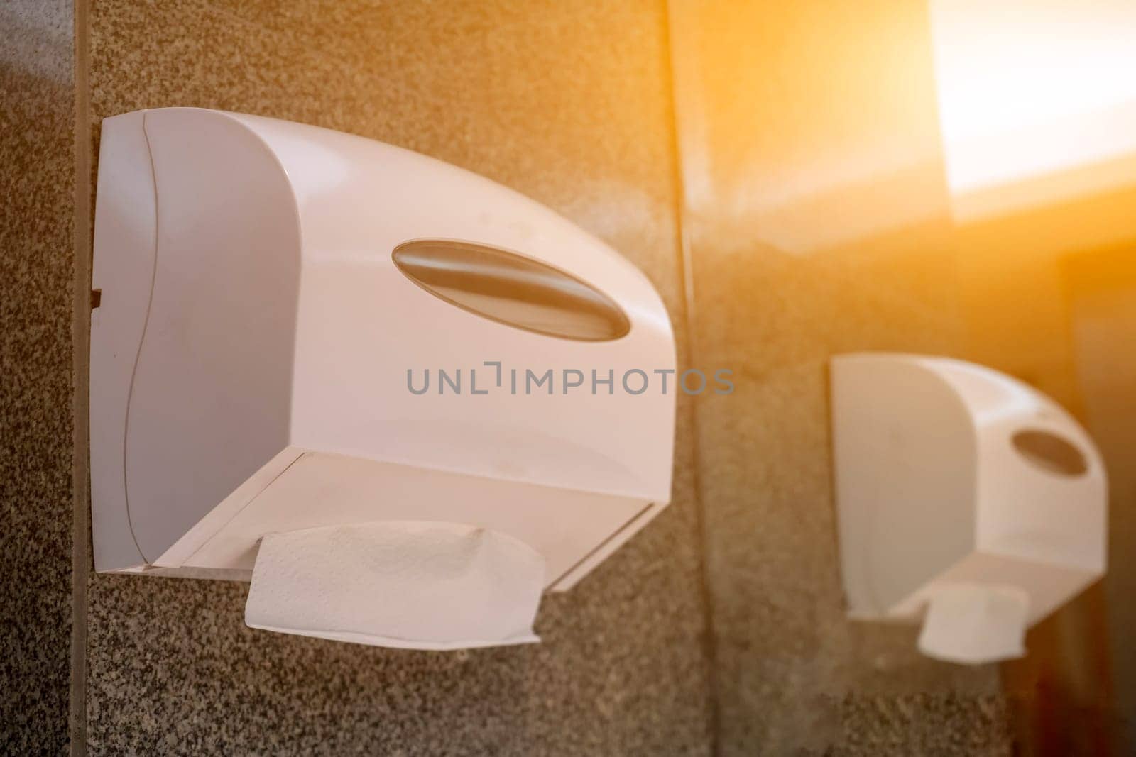 Tissue paper role in toilet on cement wall, Tissue paper box, Tissue paper towel.