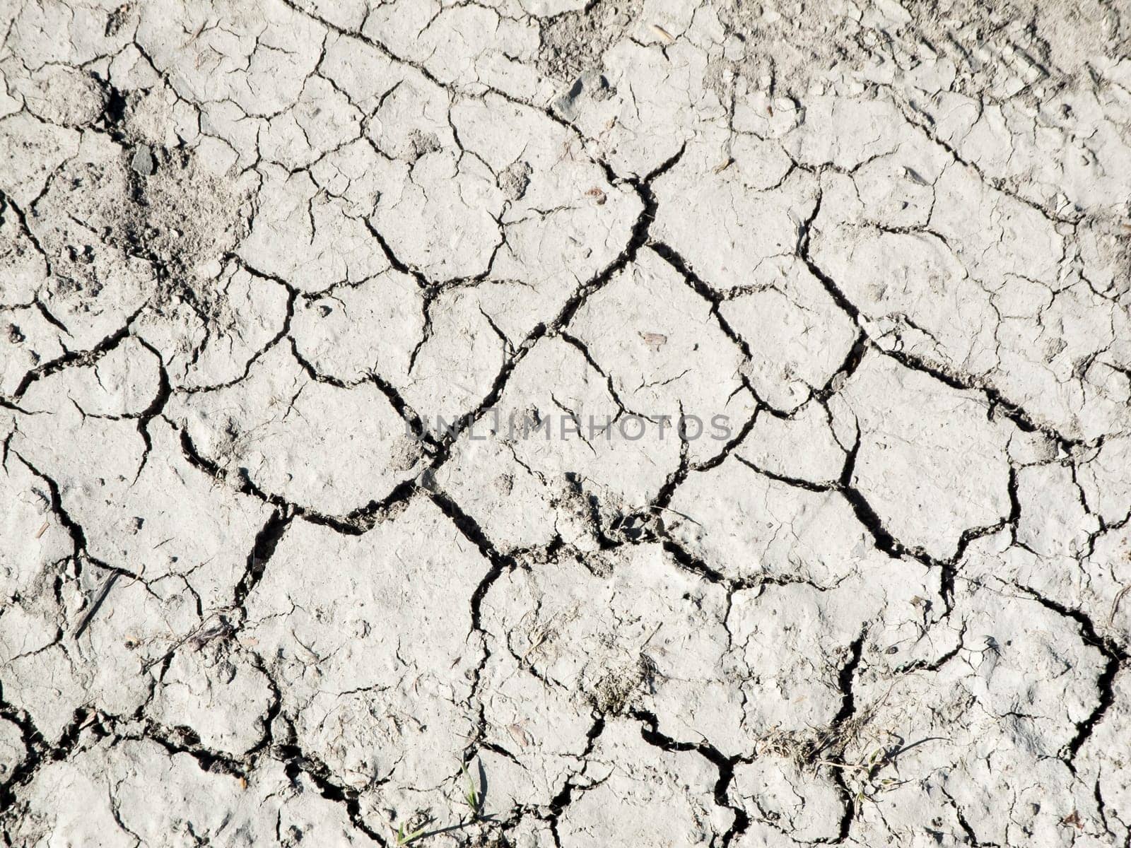 Format-filling overhead view of a parched, hard sandy soil with cracks.