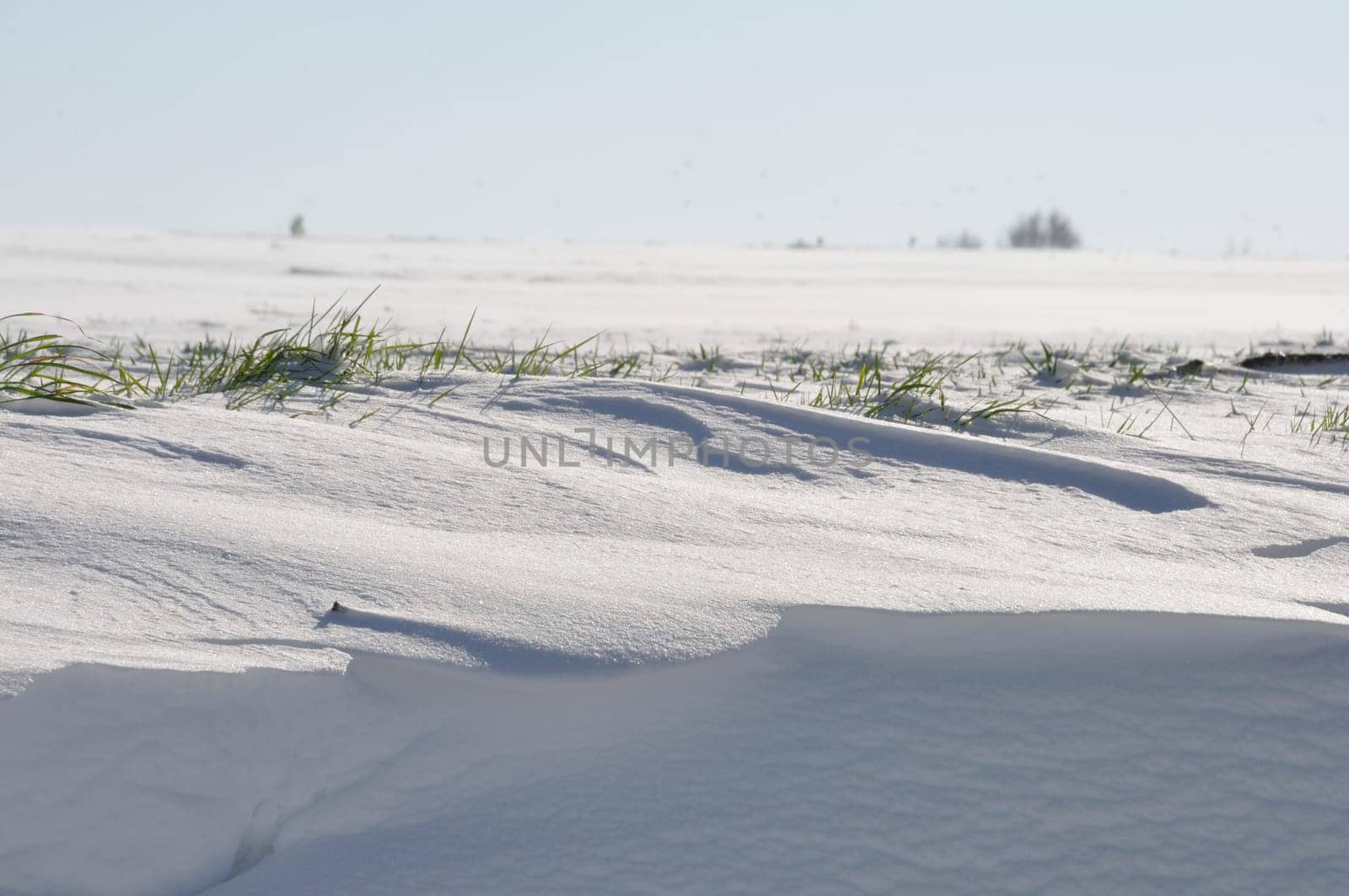 Fields under the snow in Brittany