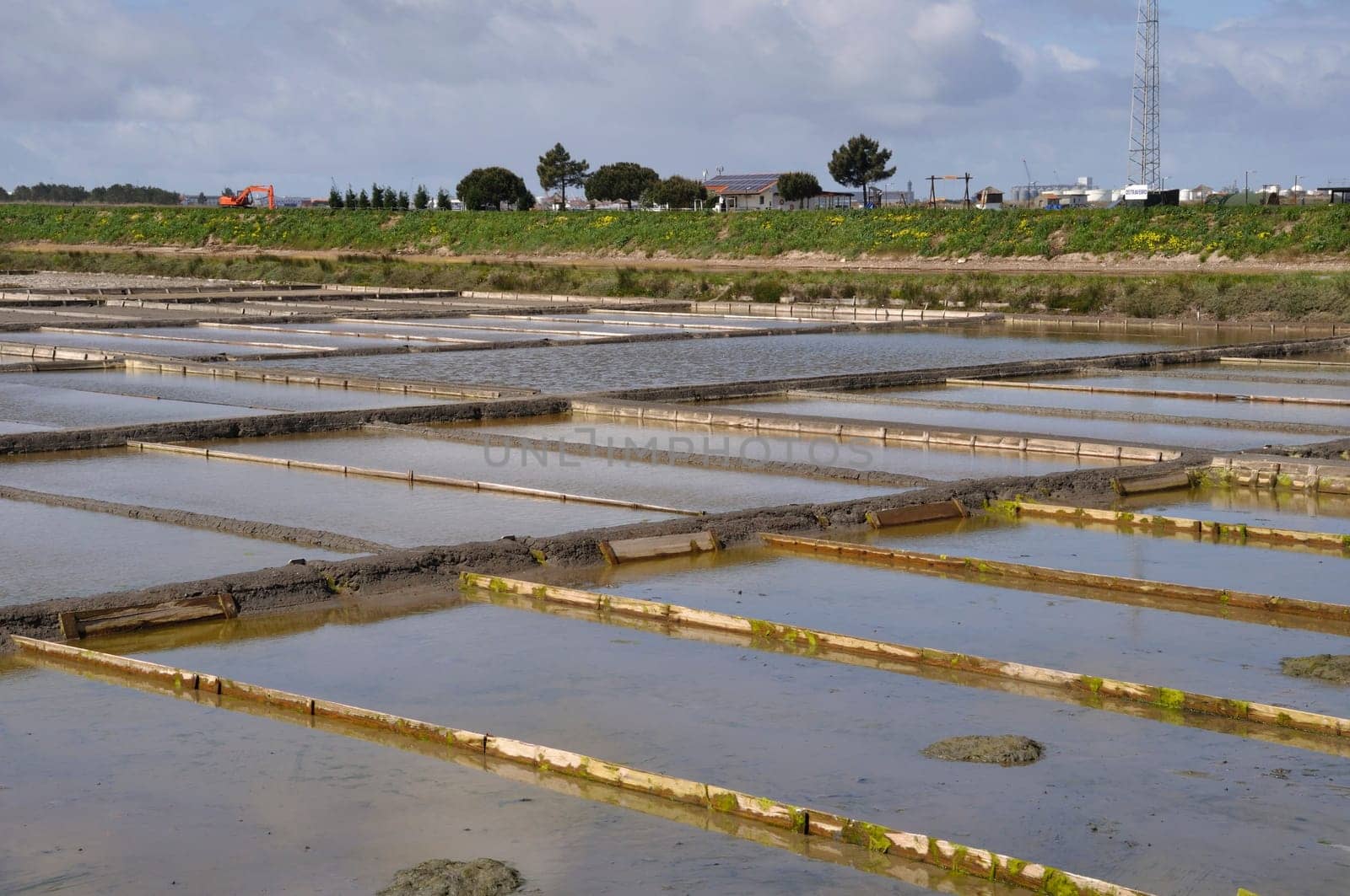 Aveiro salt marshes in Portugal
