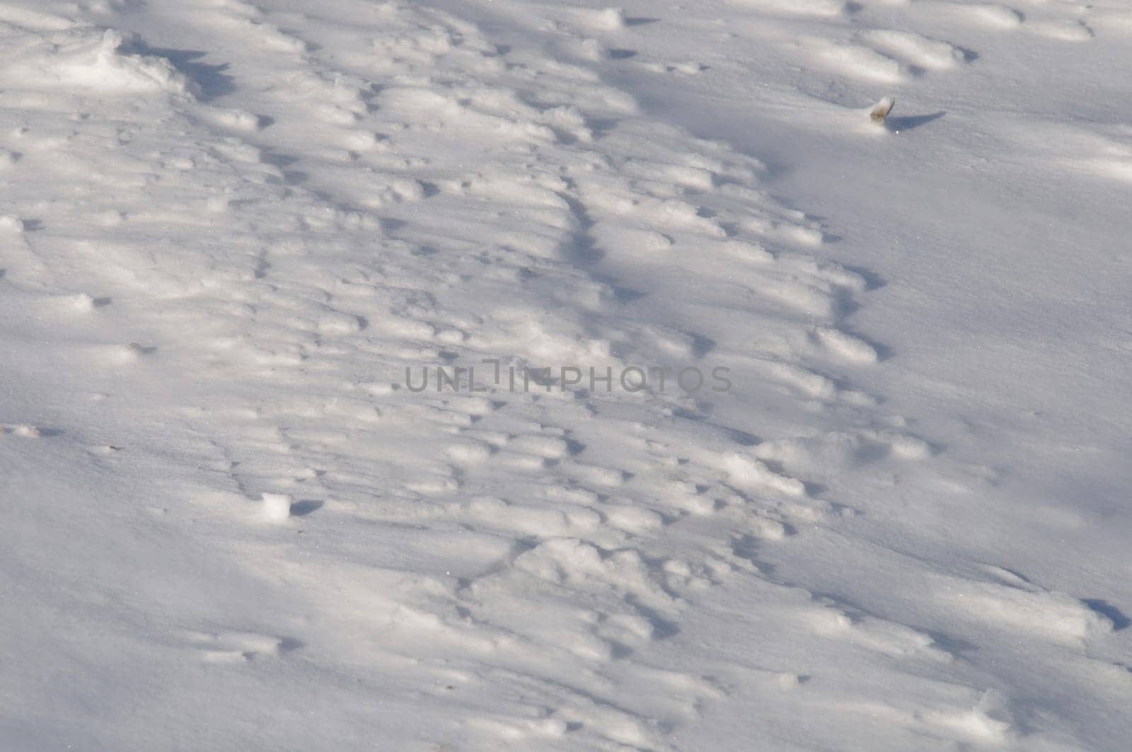 background of fresh snow texture