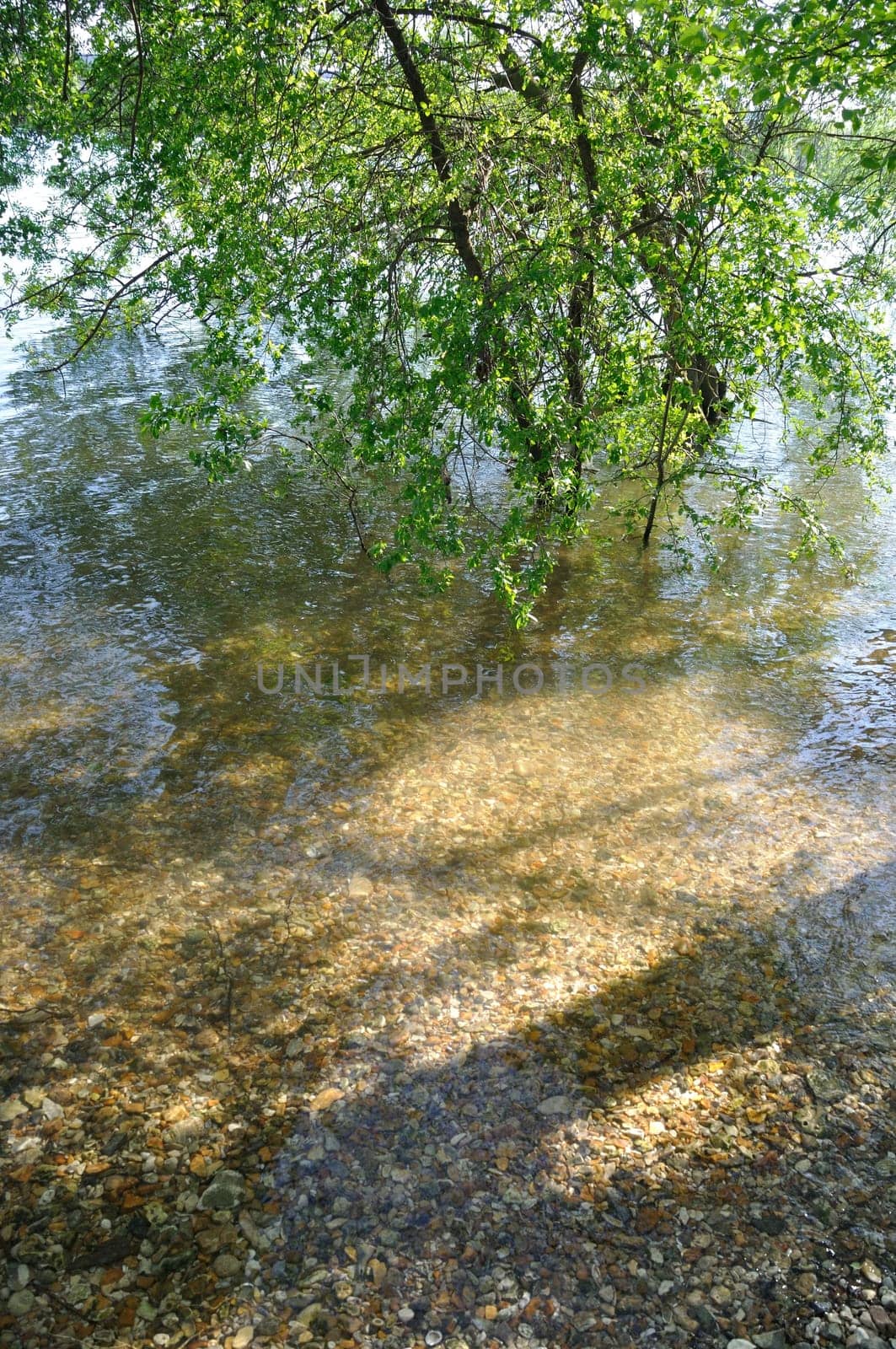 Gravels in the bed of a river