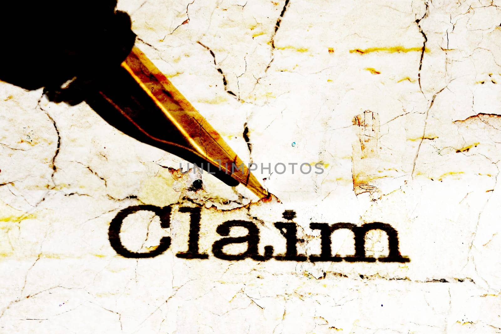 Fountain pen on claim text