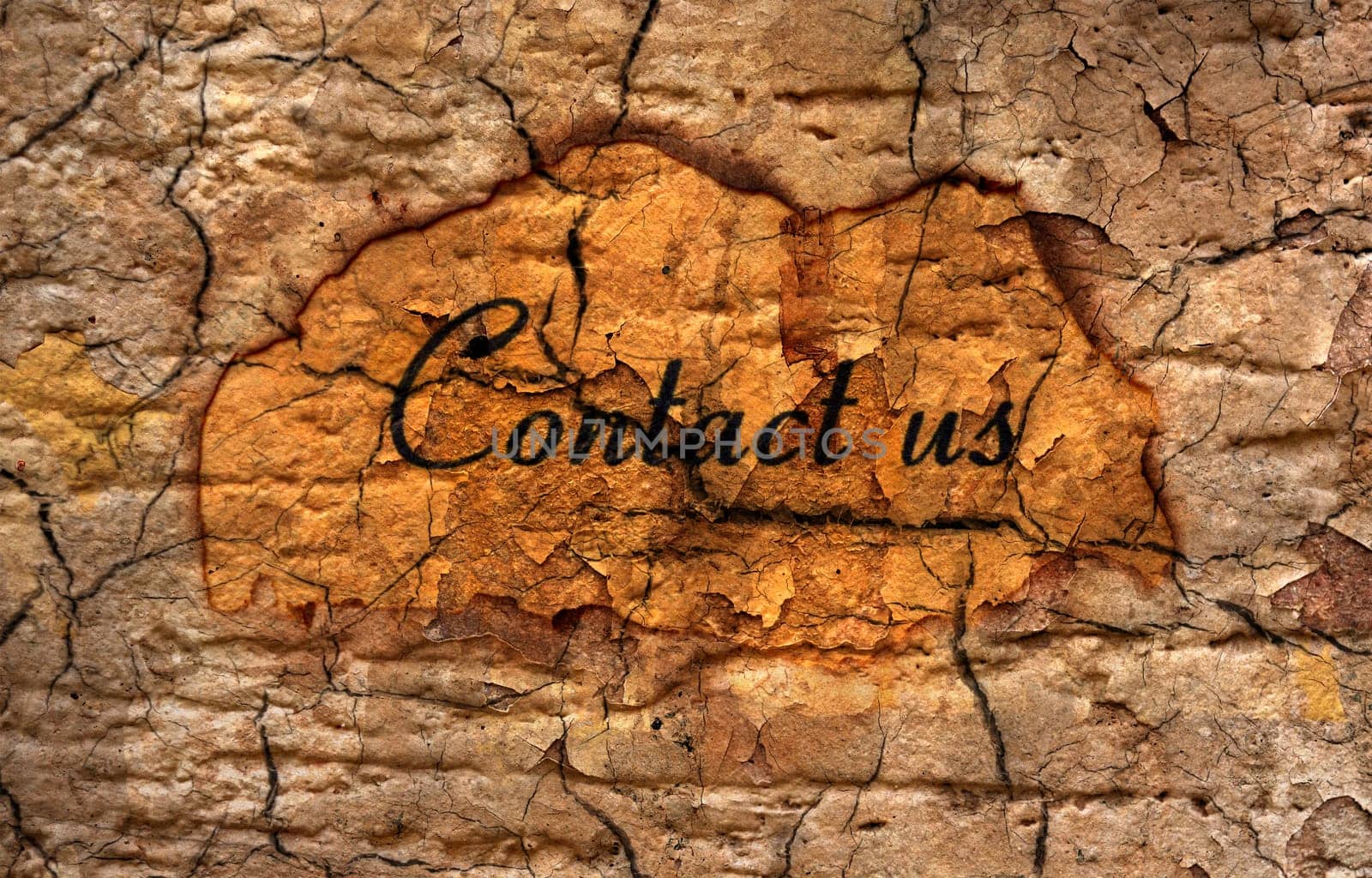 Contact us